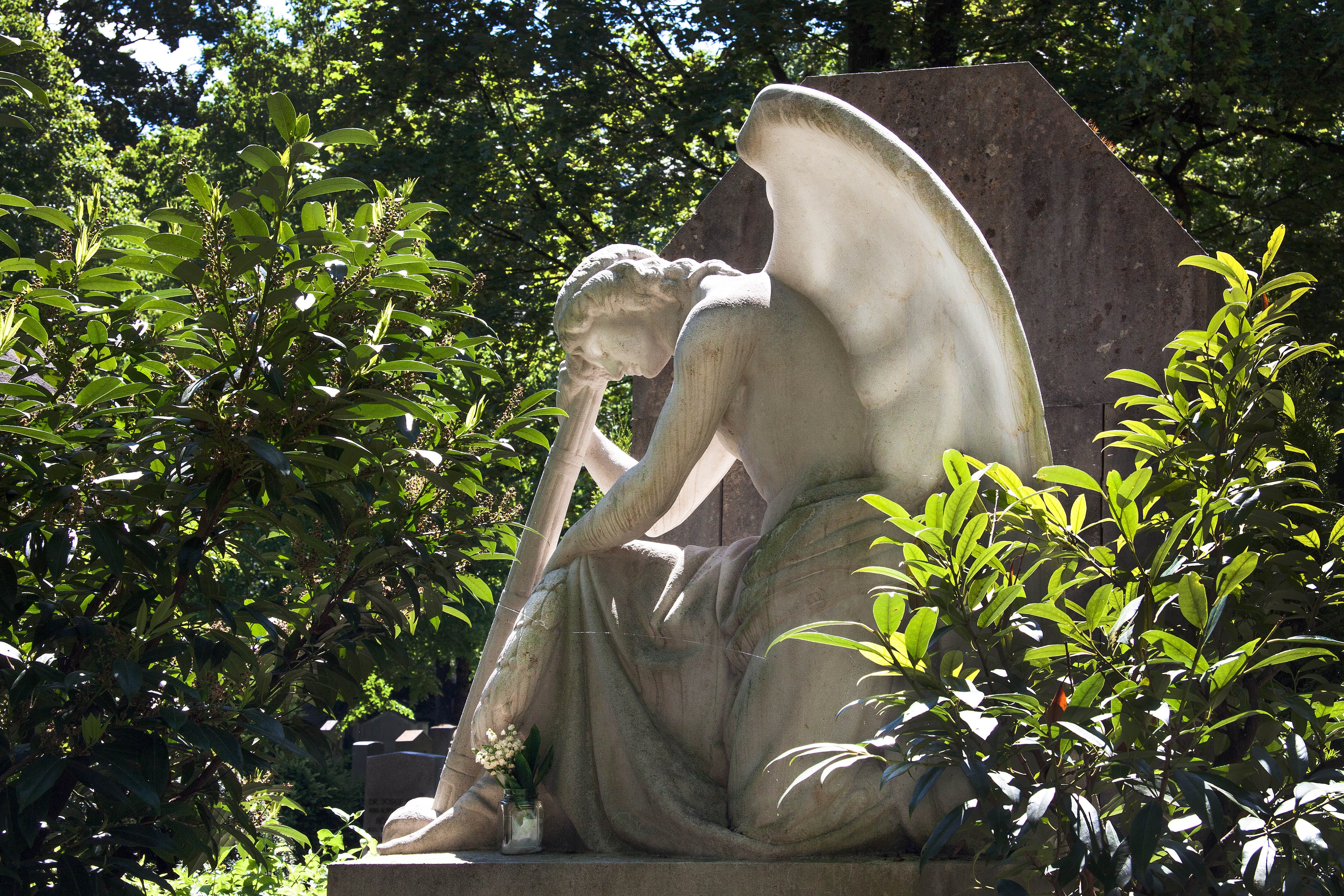 trees, plant, male likeness, park, introspective, angel, growth, creativity, representation, no people, sunlight, mammal, sculpture, female likeness, craft, HD Wallpaper