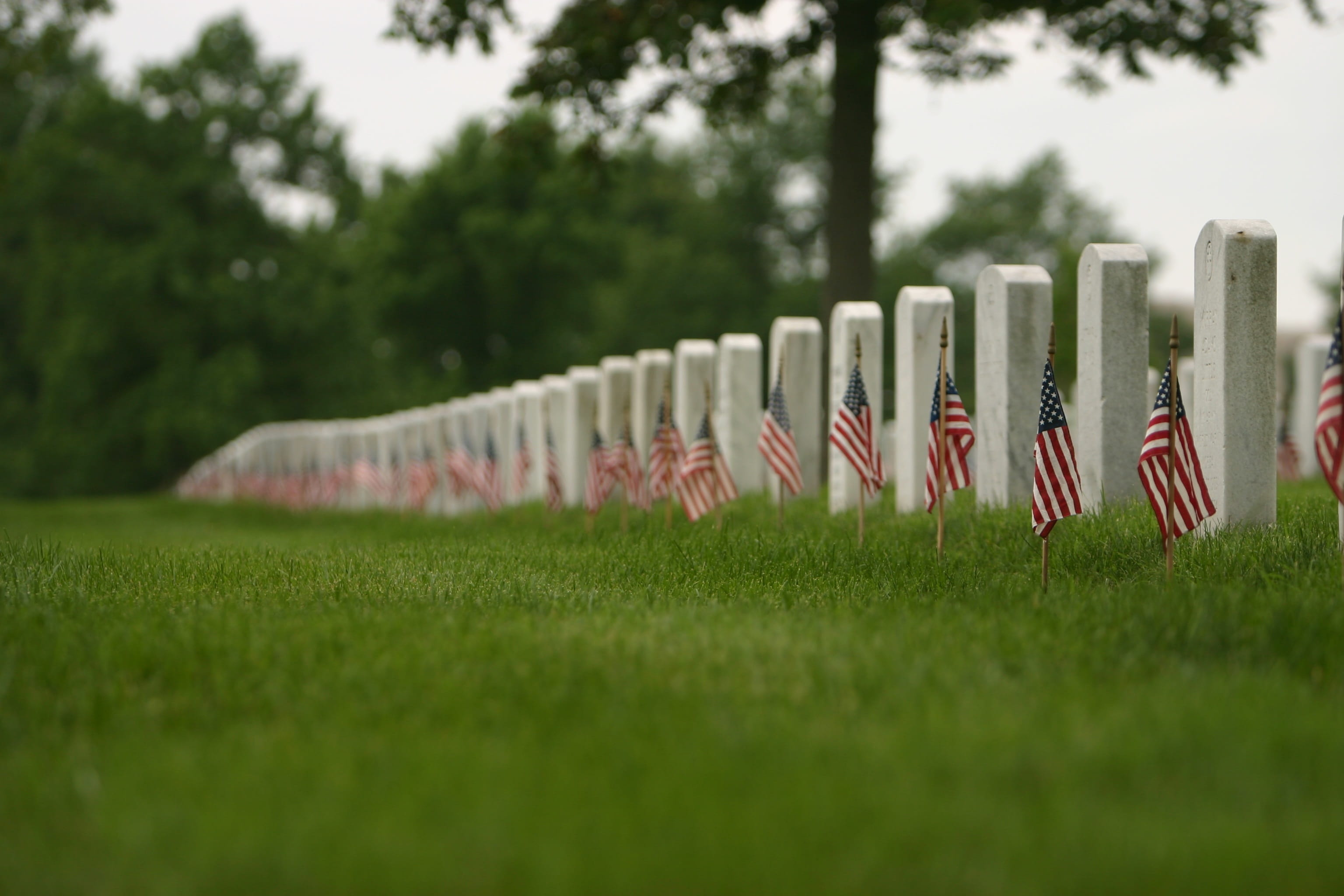 grass, coast guard, green color, land, sport, growth, death, in a row, patriotism, marines, headstone, nation, no people, selective focus, competition, HD Wallpaper
