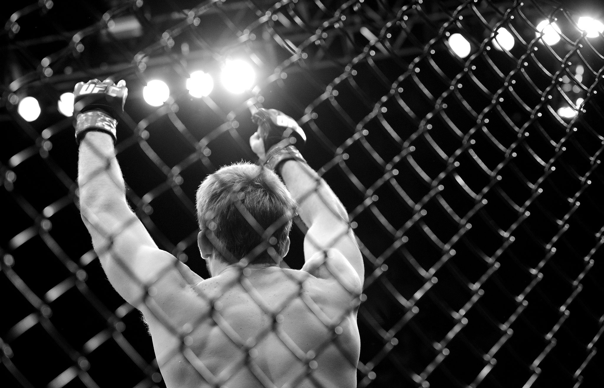 1080P, ufc, boxing, martial, fighting, wrestling, arts, mma, HD Wallpaper