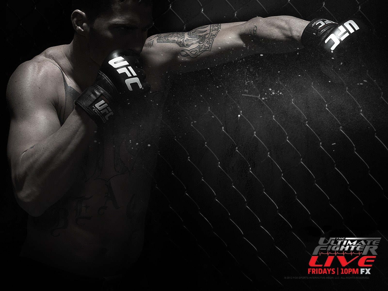 720P, ufc, fighting, wrestling, martial, boxing, mma, arts, HD Wallpaper