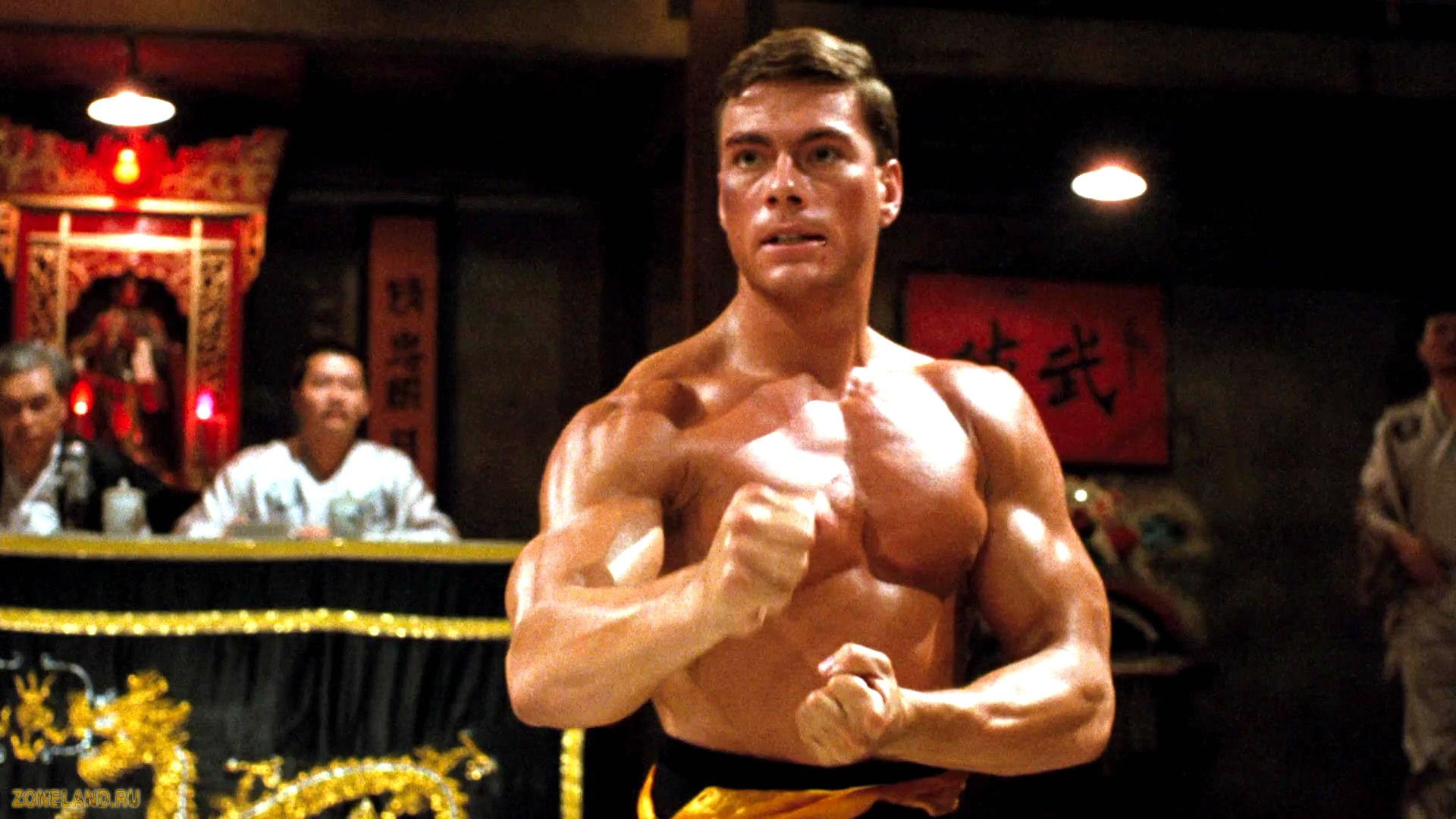 arts, bloodsport, biography, action, 1080P, fighting, drama, martial, HD Wallpaper