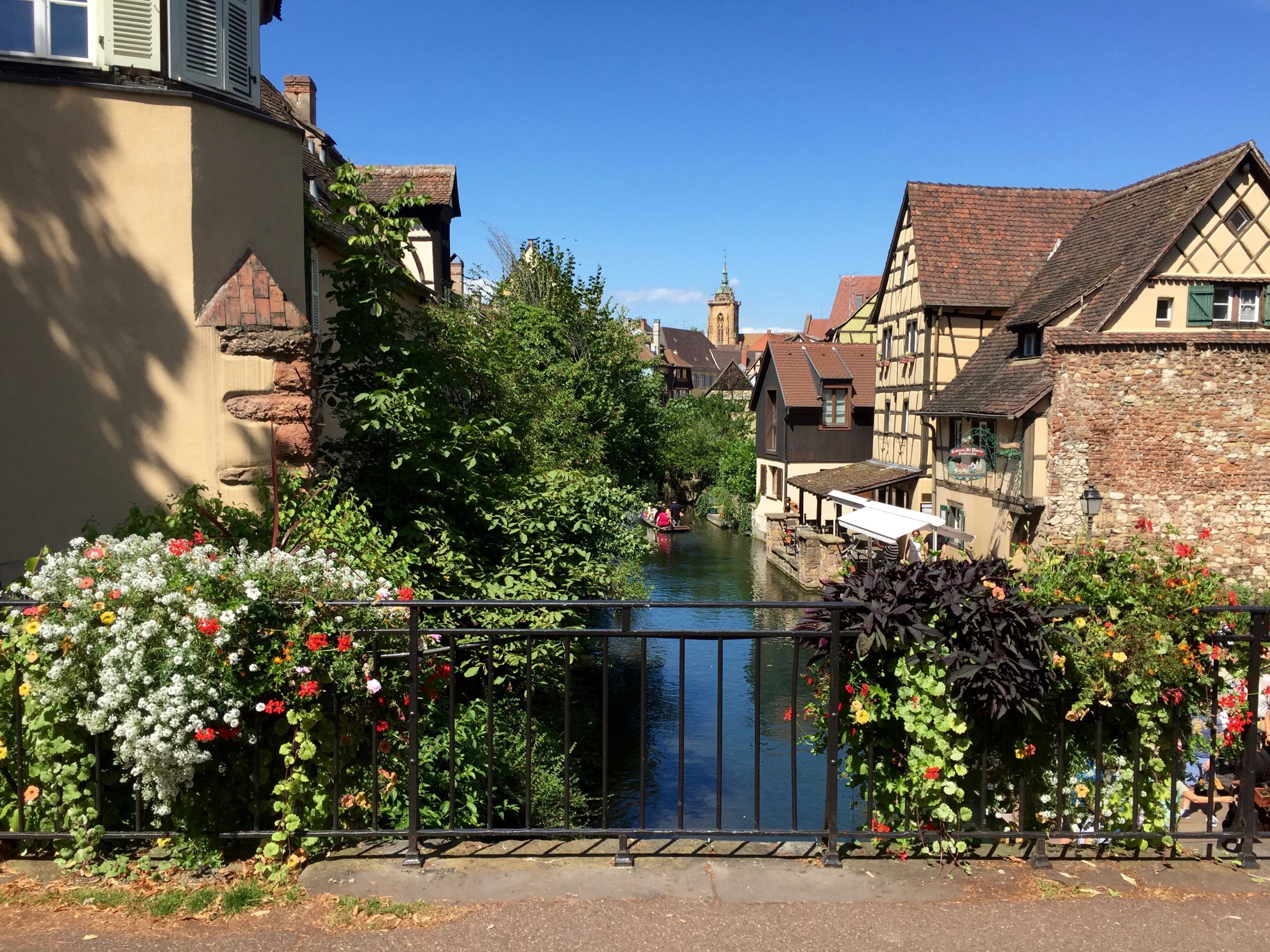city, sky, sunlight, tree, plant, outdoors, residential building, nature, Alsace, growth, France, flower, residential district, water, house, day, all kinds of, HD Wallpaper