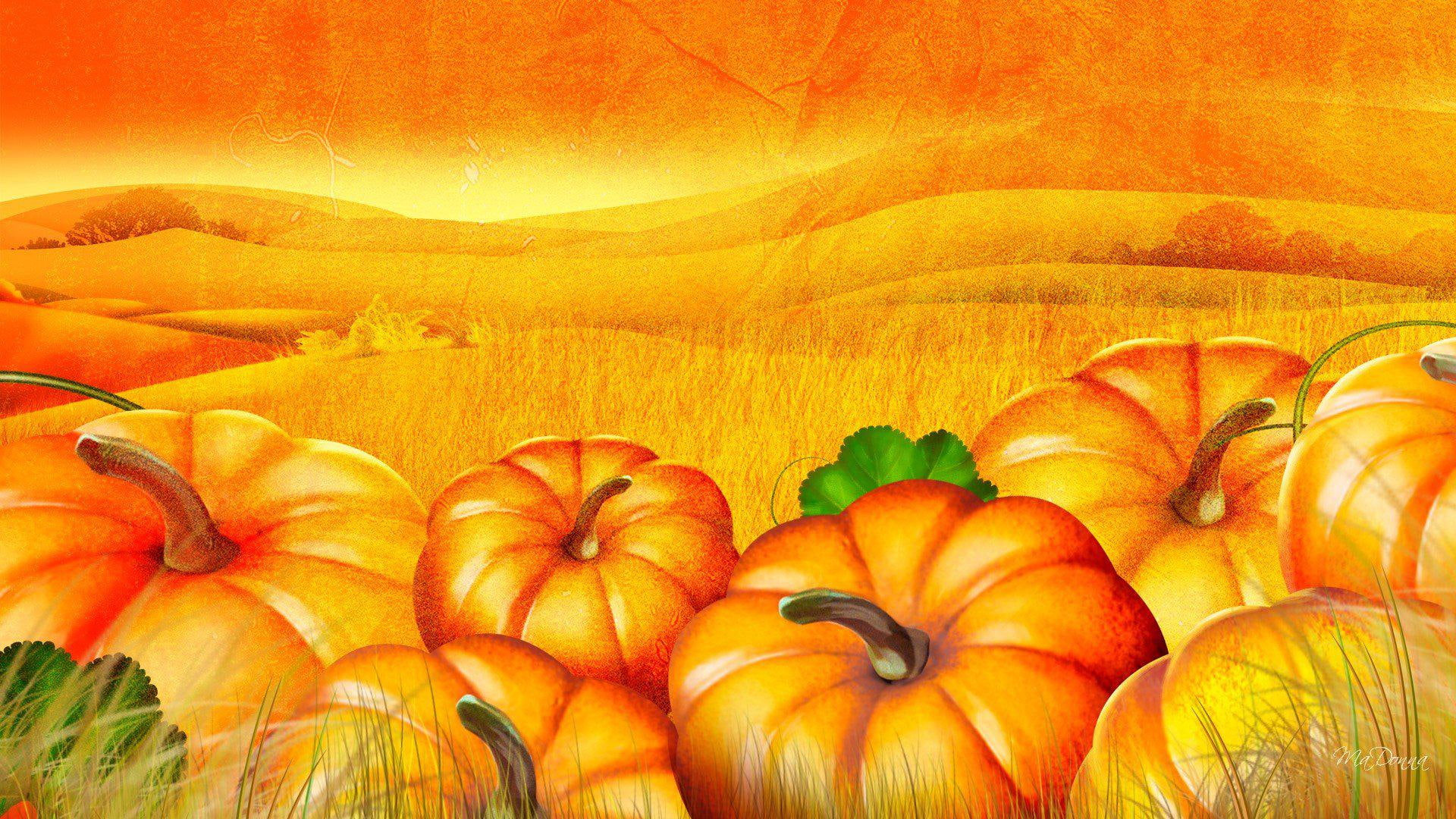 photo, patch, illustration, pumpkin, pumpkins, halloween, desktop, autumn, 1080P, HD Wallpaper