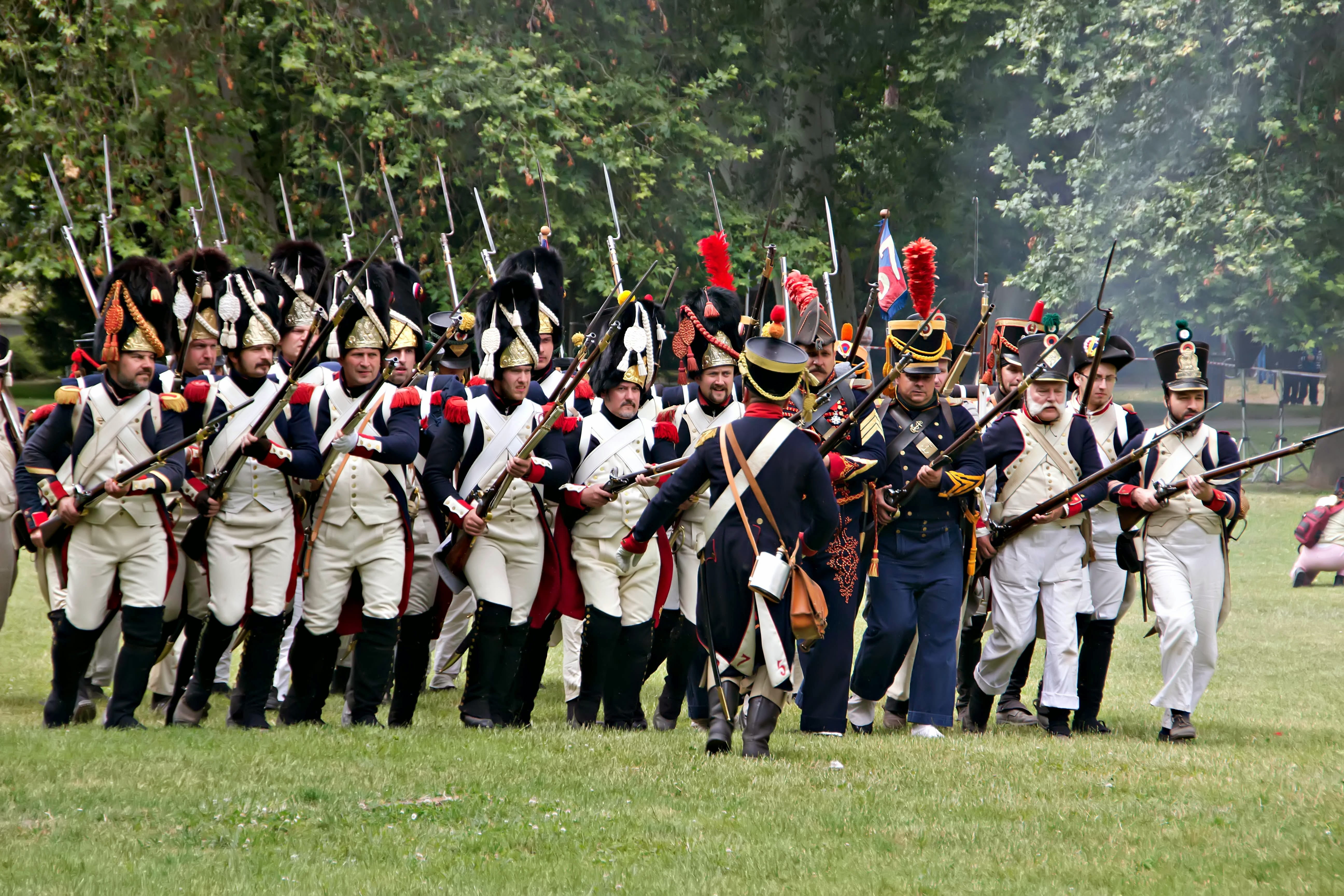tree, shooting, government, field, clothing, 5K, real people, outdoors, uniform, land, weapon, marching band, day, group of people, nature, musical instrument, HD Wallpaper