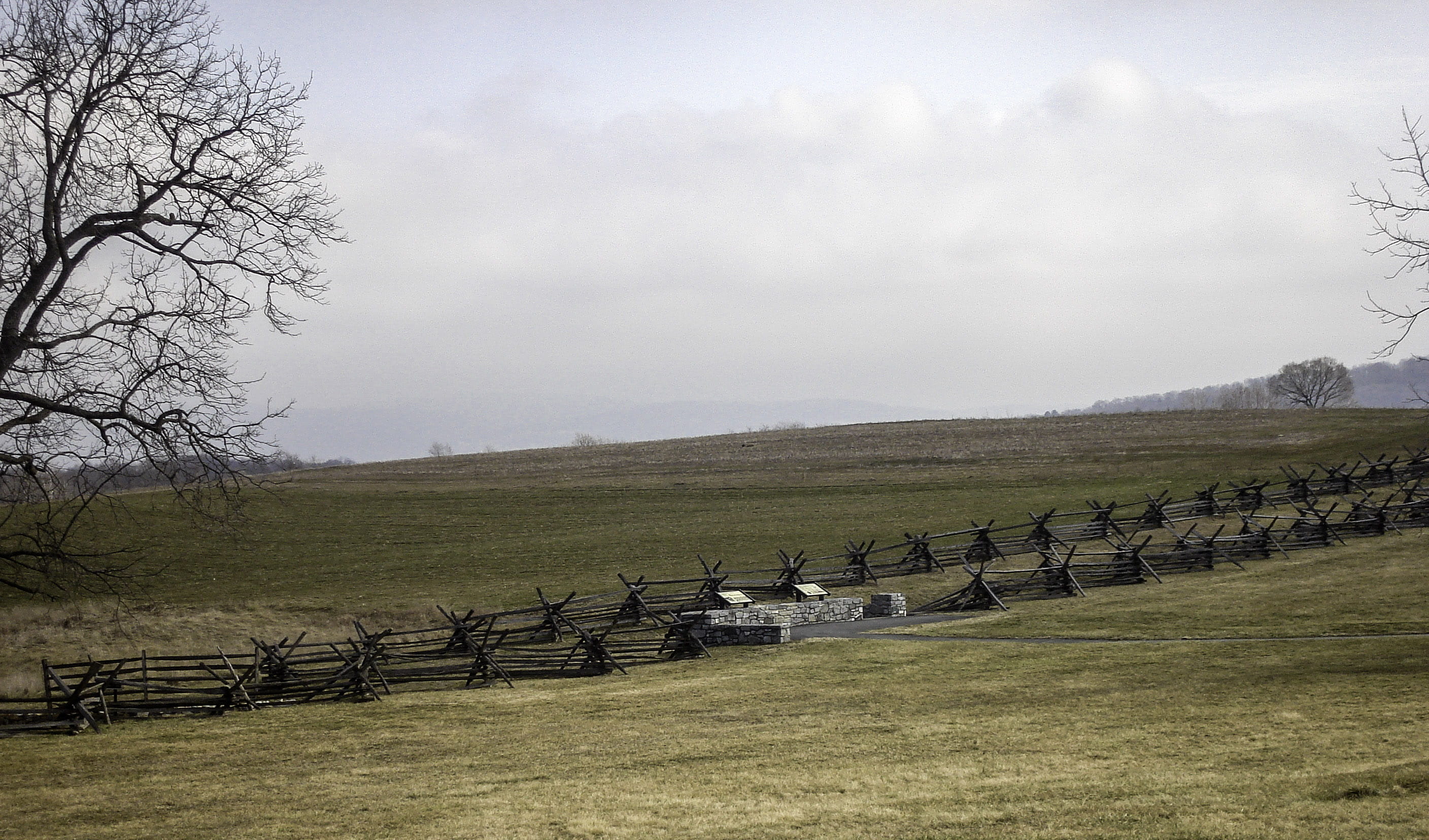 agriculture, tranquil scene, civil war, photo, grass, day, tree, animal themes, no people, environment, line, landscapes, landscape, stone wall, Antietam National Battlefield, HD Wallpaper