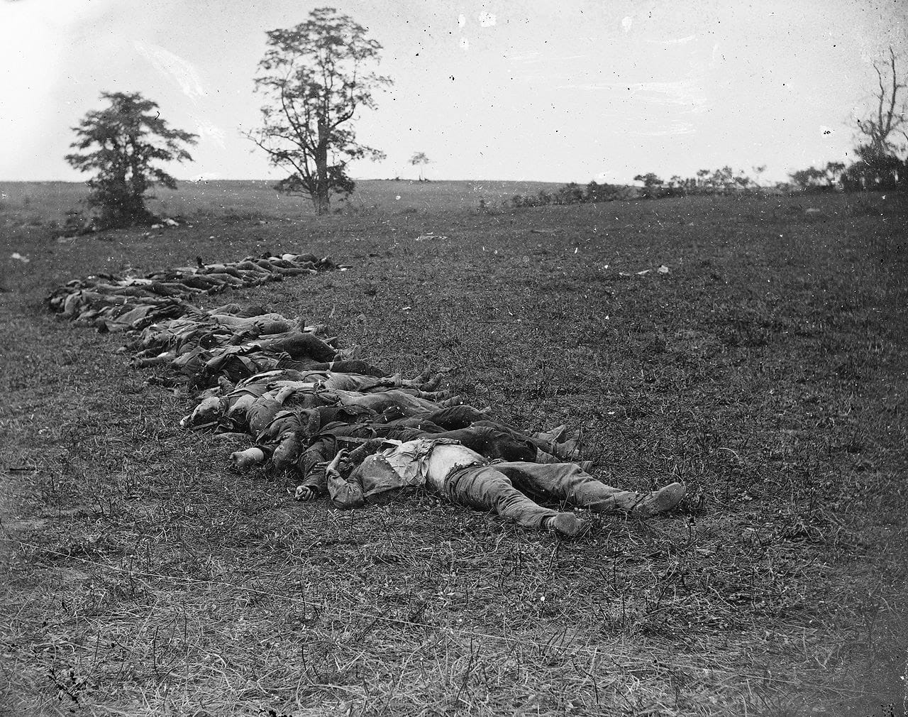 domestic animals, outdoors, nature, vertebrate, dead soldiers, day, public domain, sky, gathered, animal, Maryland, animal themes, casualties of war, black And White, HD Wallpaper