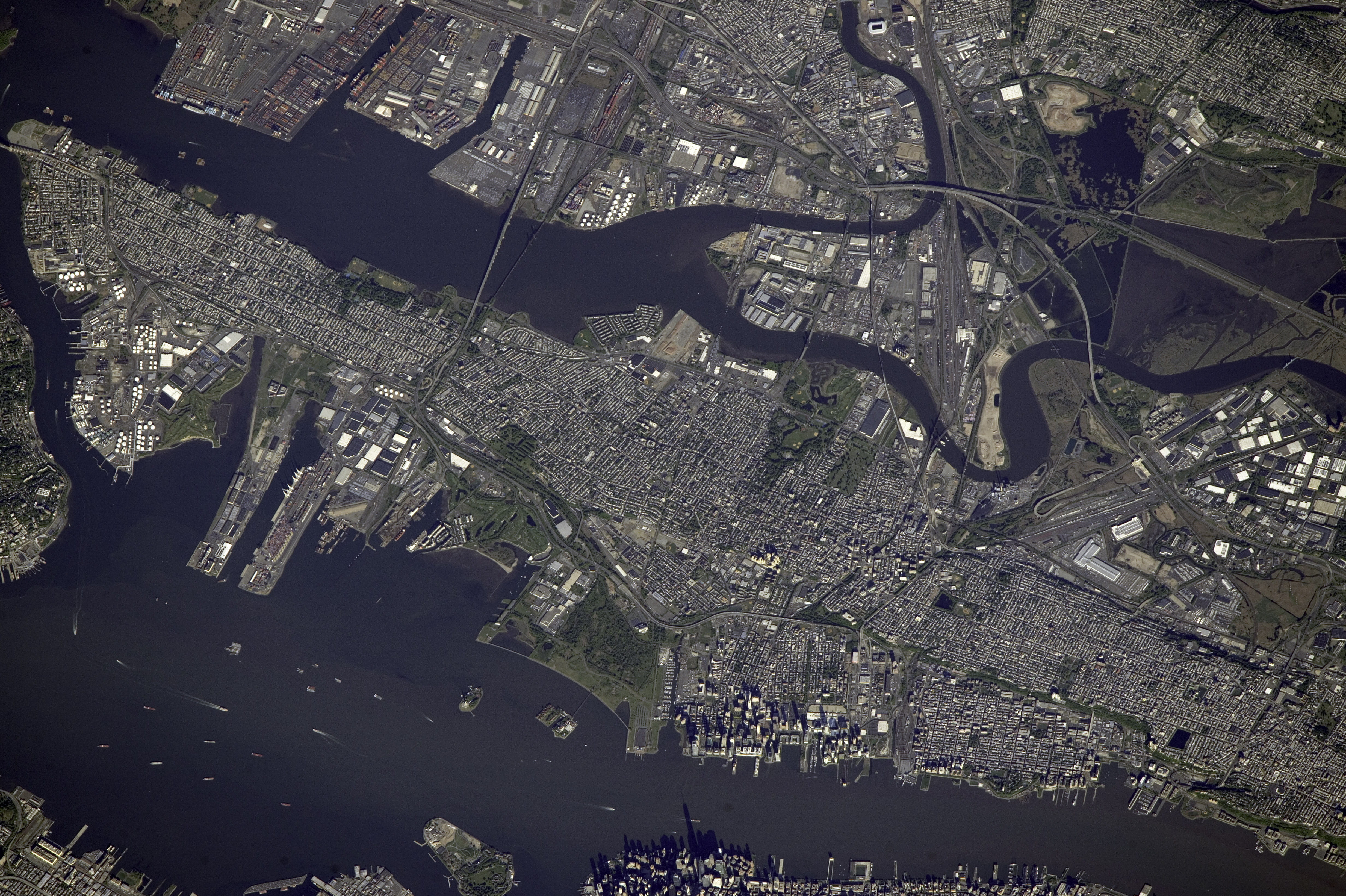 outdoors, one animal, city, sunlight, animal themes, branch, no people, close-up, satellite image, United States, transportation, new, nature, View, aerial View, HD Wallpaper