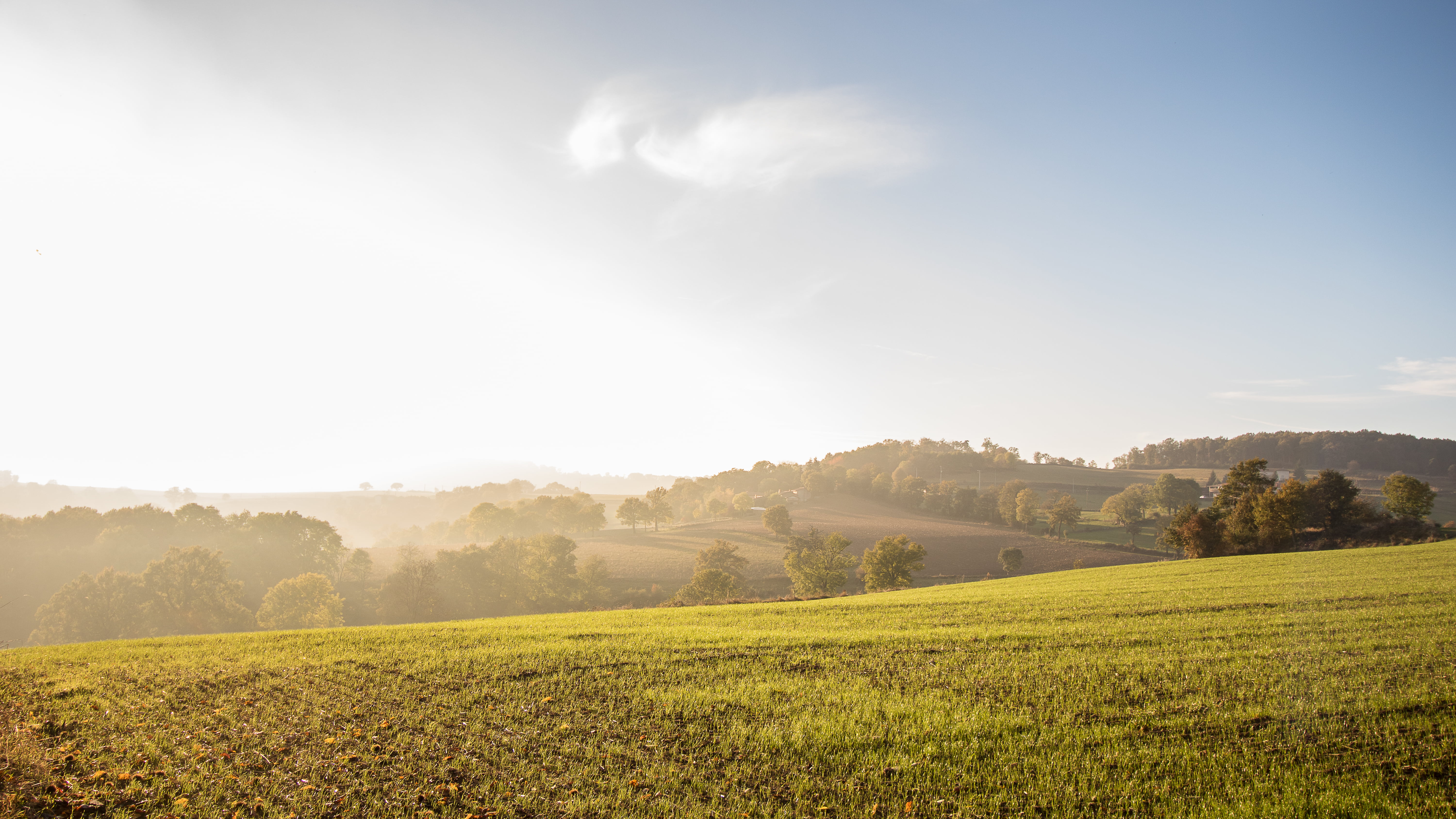 green, Auvergne Rhône Alpes, forest, sky, sunlight, nature, field, hill, 5K, rural Scene, mist, farm, meadow, season, brume, Monts du Lyonnais, sunset, HD Wallpaper