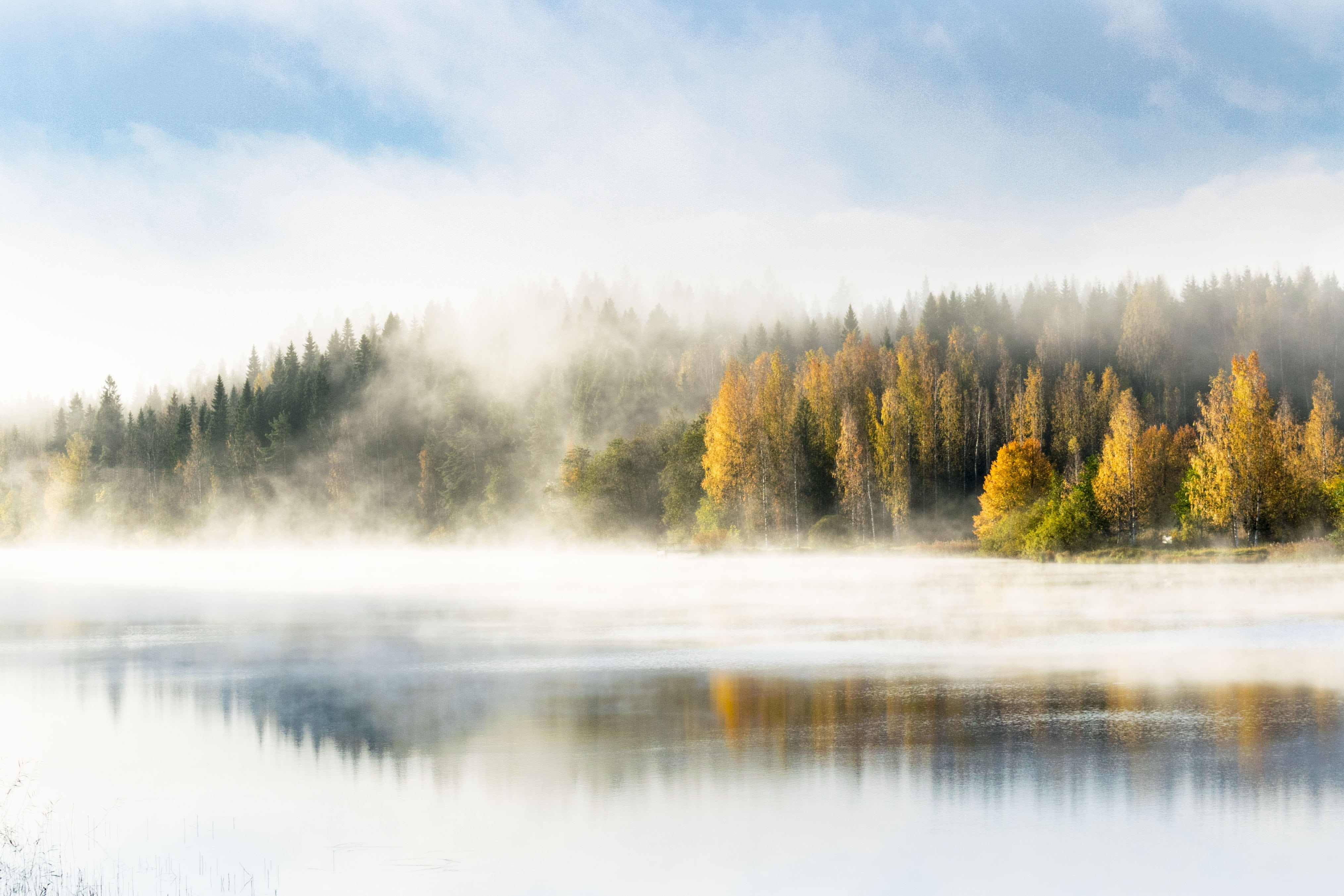 scenics, wood, nature, no people, woodland, scenics - nature, autumn, non-urban scene, plant, reflection lake, beauty In Nature, sunset, forest, morning, HD Wallpaper