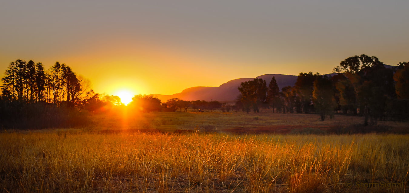 forest, golden hour, Magaliesburg, nature, South Africa, grass field, autumn, golden, outdoors, scenics, hour, orange Color, green, landscape, grass, beauty In Nature, HD Wallpaper