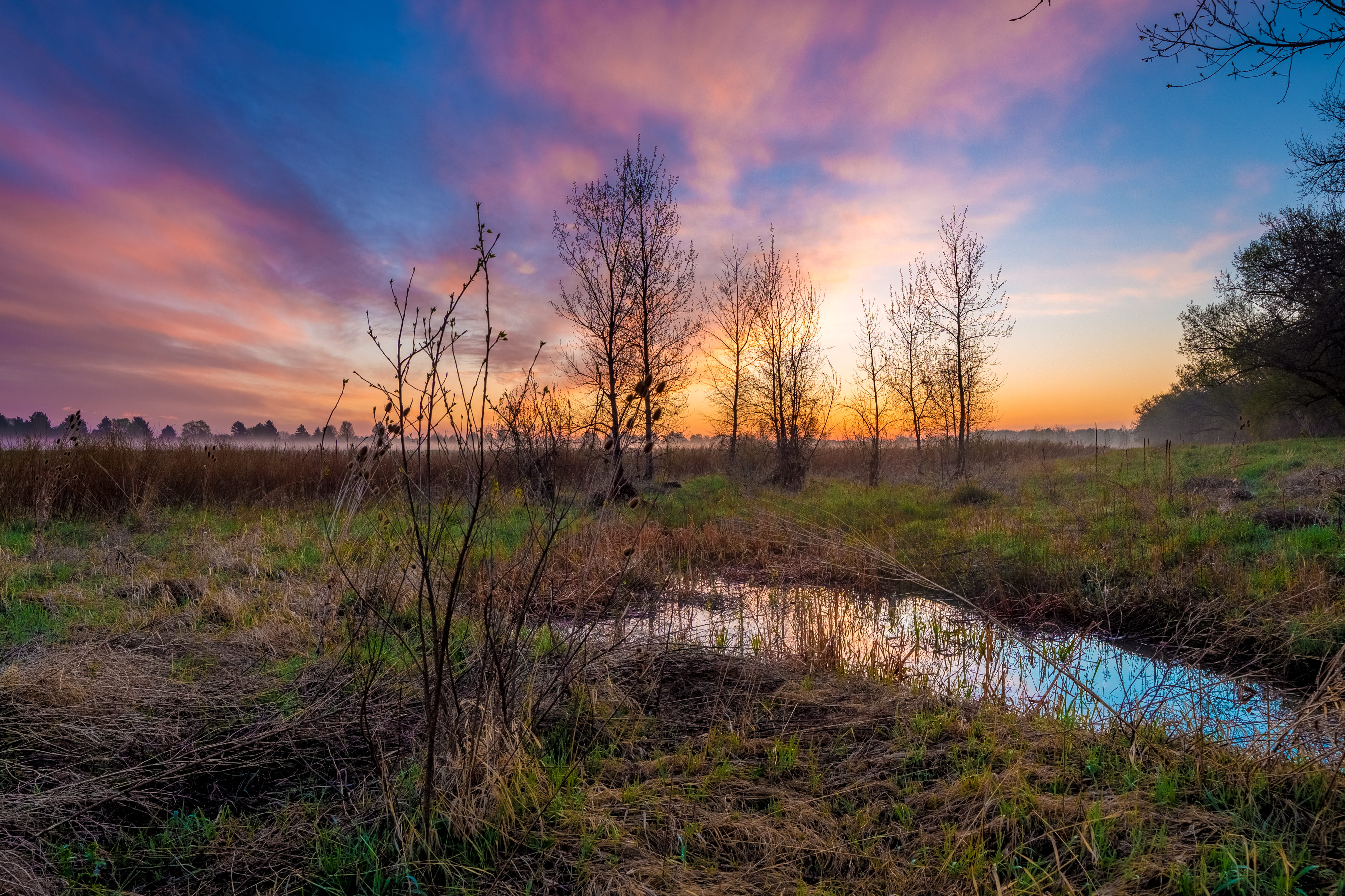 tranquility, scenics, morning, scenics - nature, green, cloudy, land, summer, grass, reflection, sunlight, sunset, green grass, rural Scene, beside, photo, HD Wallpaper