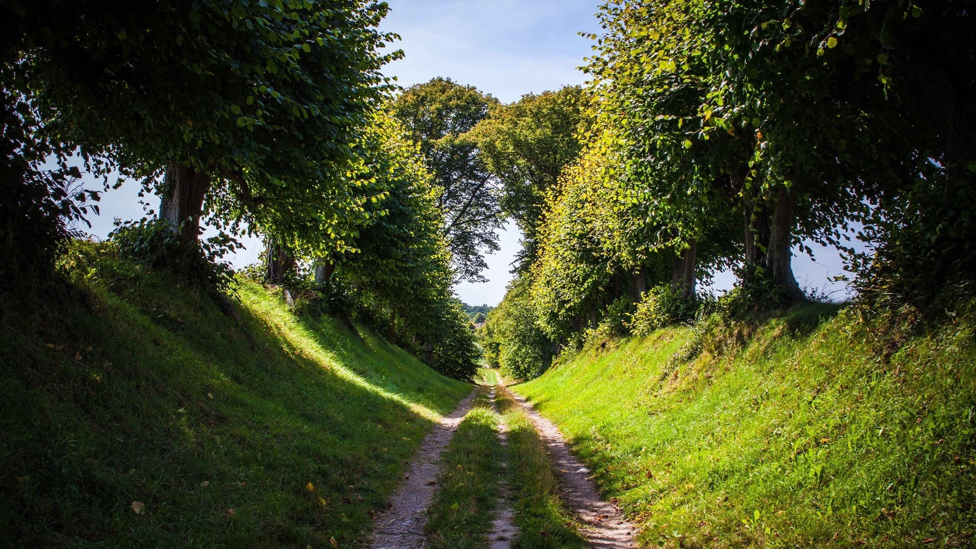 summer, 1080P, sunlight, spring, transportation, plant, tree, rural, leaf, foliage, diminishing perspective, non-urban scene, forest, landscape, autumn, HD Wallpaper