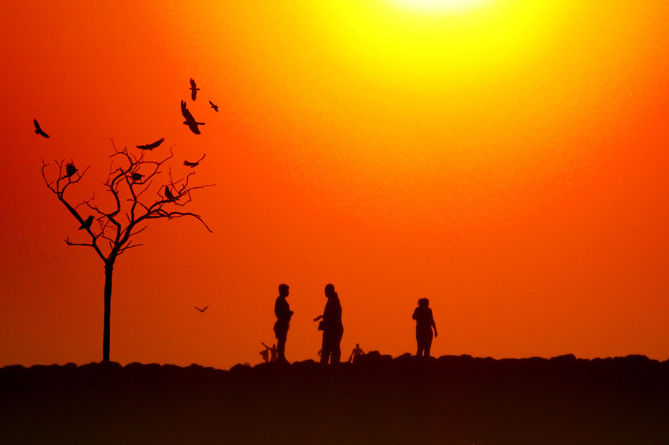 indias, colombia, boys, cartagena, luza, dusk, a650, sunlight, people, canon, outdoors, silhouette, sky, sun, nature, sunset, back Lit, child, de, 1080P, HD Wallpaper