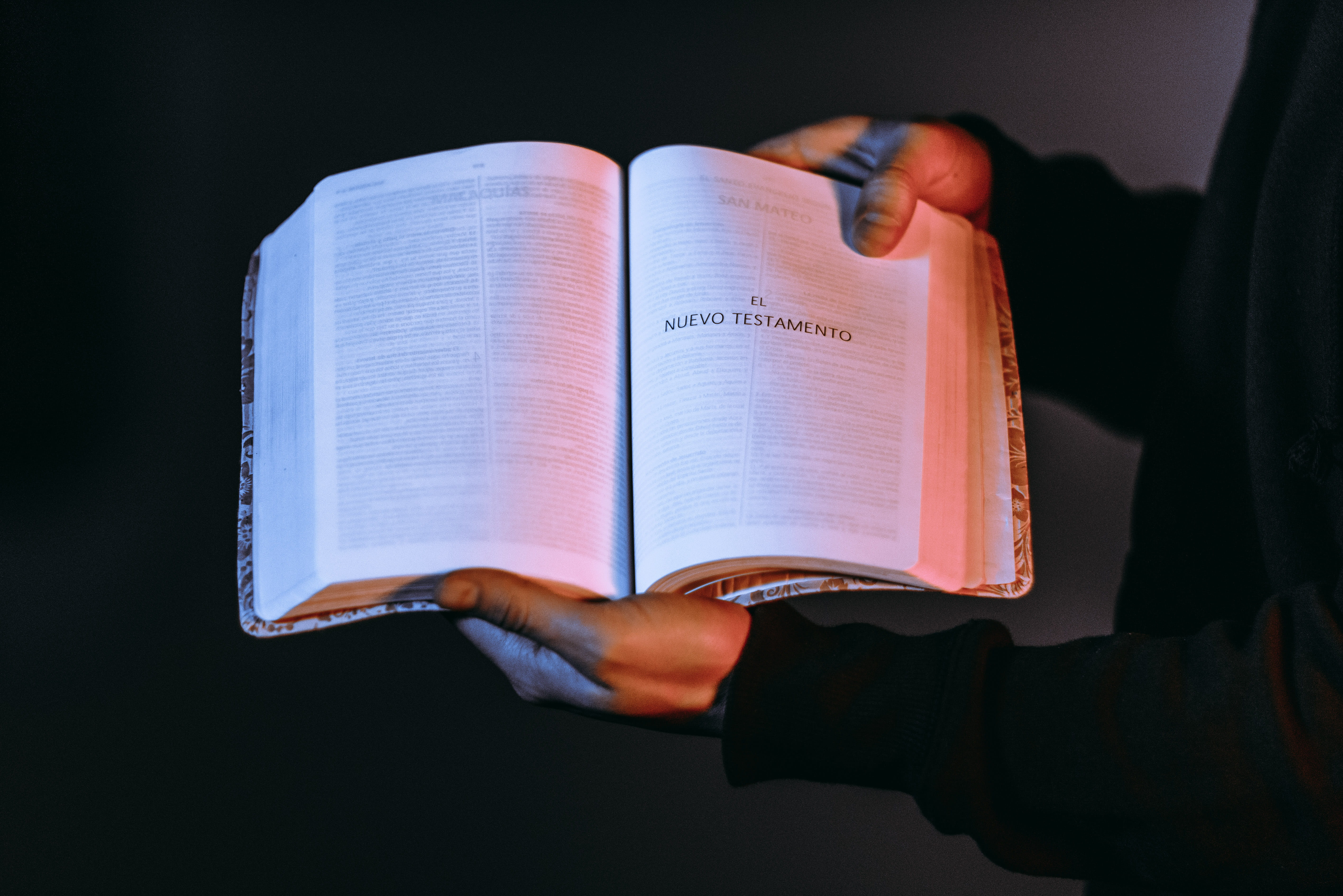 human body part, reading, book, black background, education, hand, holding, one person, human hand, adult, open, 5K, studio shot, indoors, close-up, page, HD Wallpaper