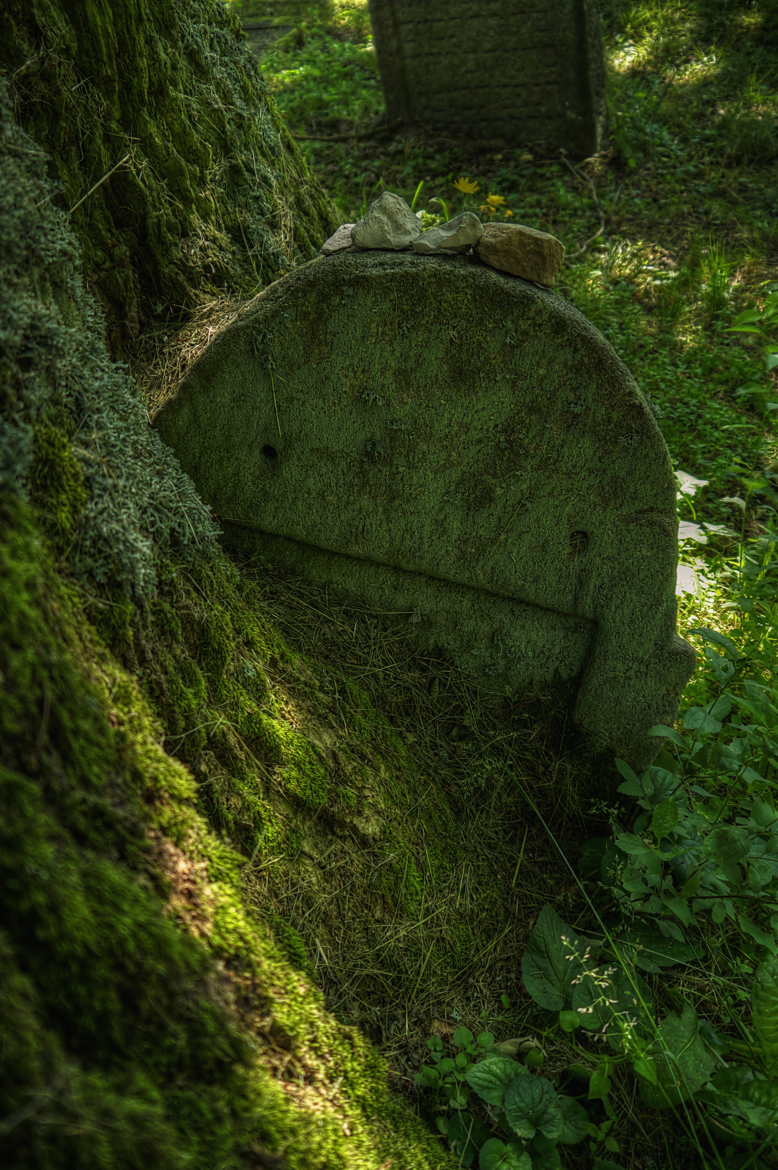 outdoors, old, moss, 4K, abandoned, humility, attention, inspiration, awe, high angle view, day, mood, no people, land, grass, stone, jewish, tree, close-up, Phone HD Wallpaper