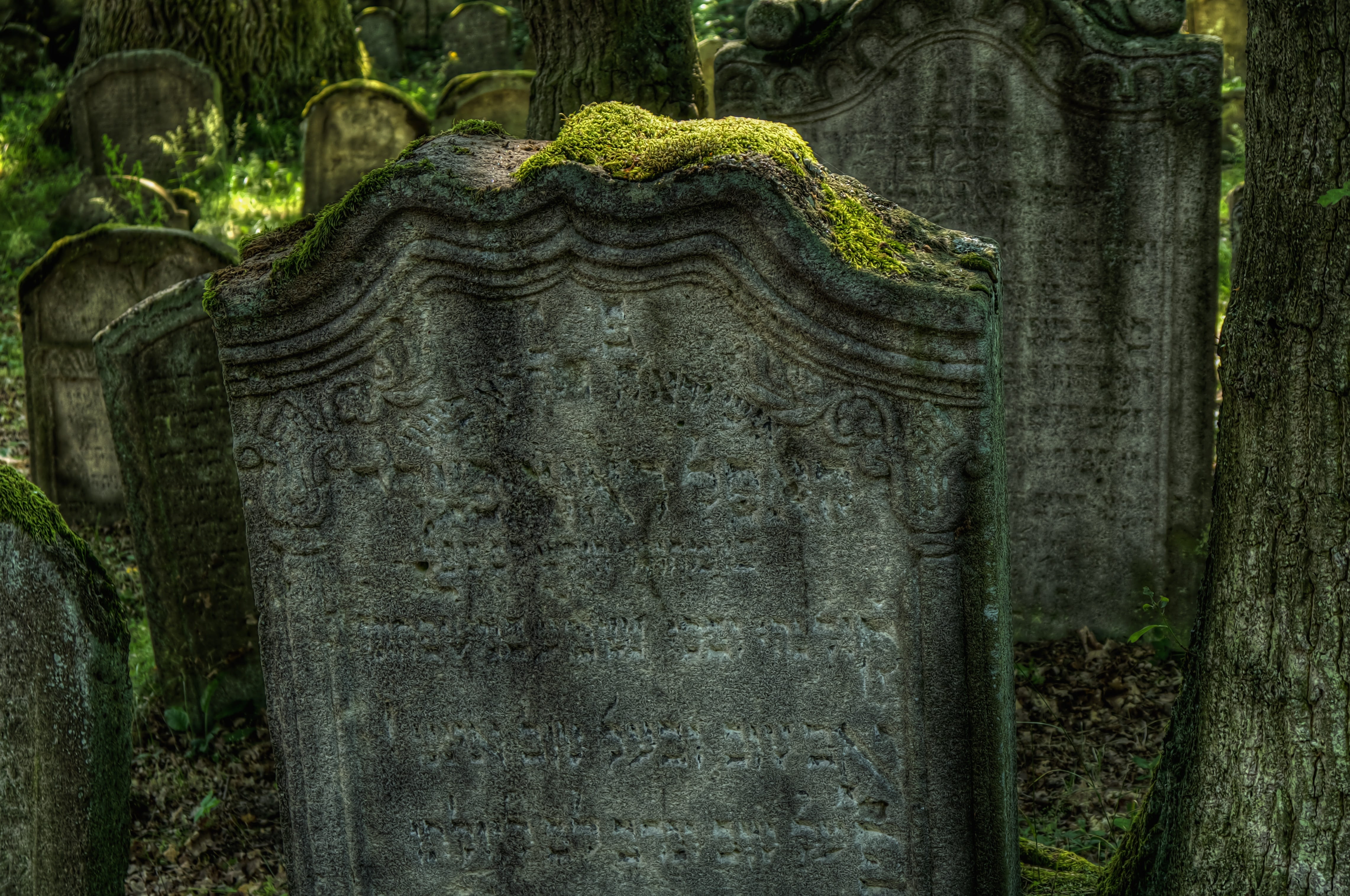 humility, day, mystical, outdoors, inspiration, still, gray, land, no people, 4K, mood, art and craft, nature, tomb, jewish, the past, graves, meditation, HD Wallpaper