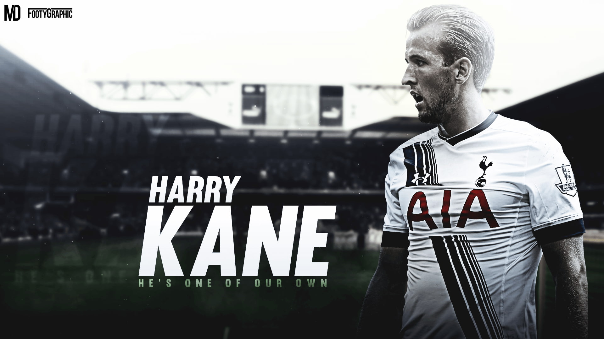 Harry Kane, 1080P, Tottenham Hotspur F.C., Soccer, HD Wallpaper