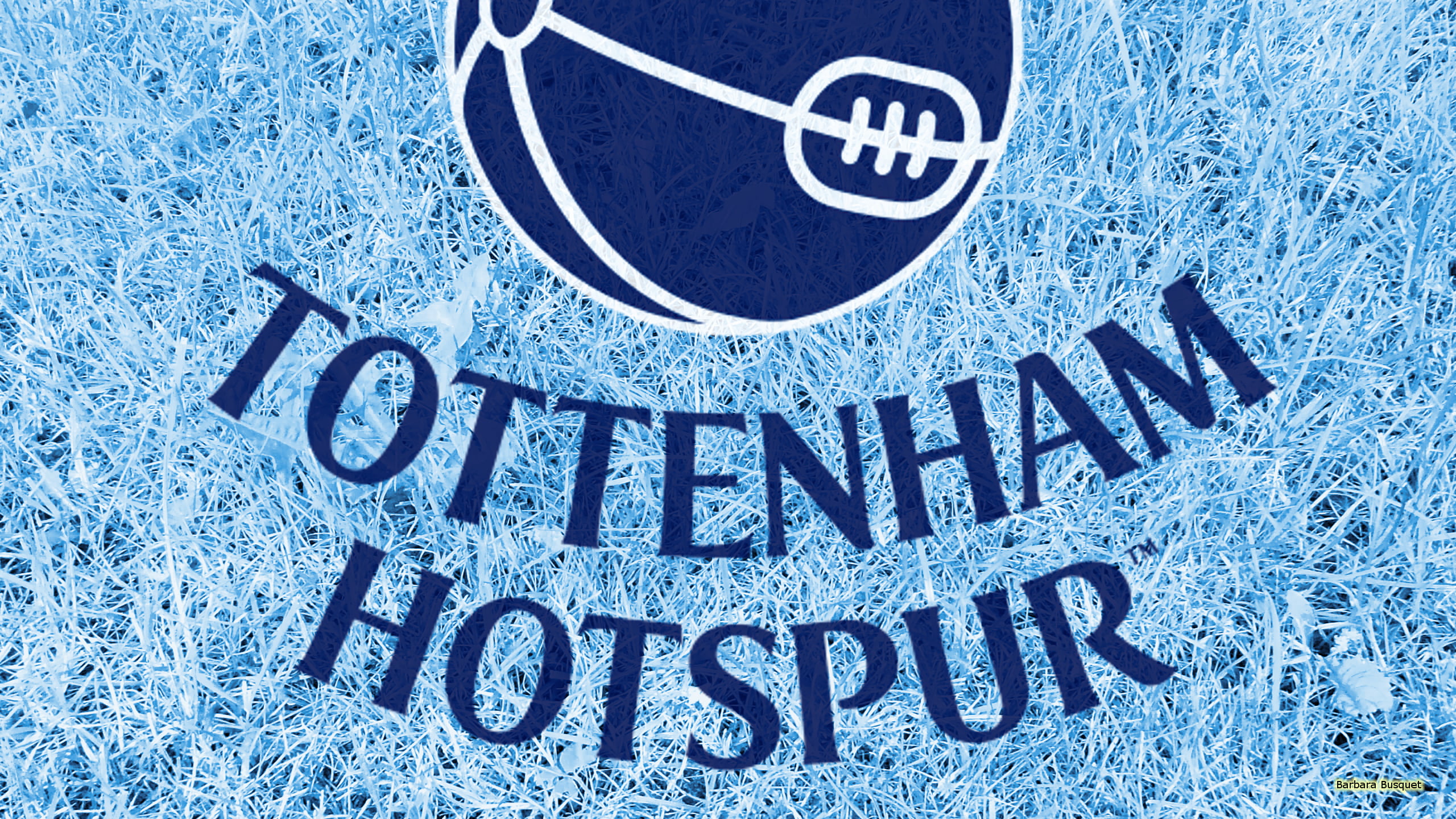 Soccer, 2K, Emblem, Tottenham Hotspur F.C., Logo, HD Wallpaper