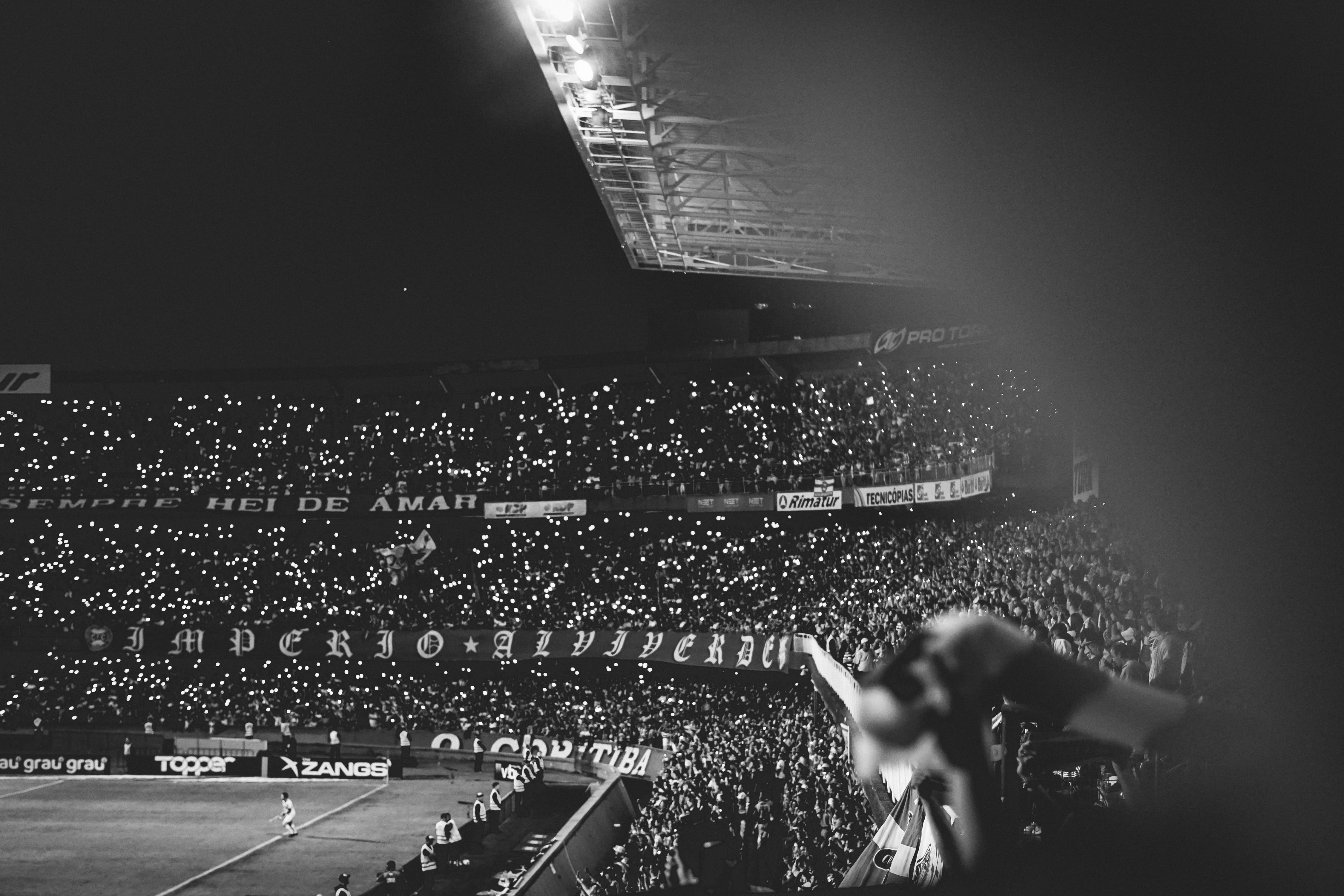 lighting, real people, group of people, spectator, 4K, looking, grass, stage, audience, cheers, football, stadium, rock concert, field, soccer, concert, HD Wallpaper