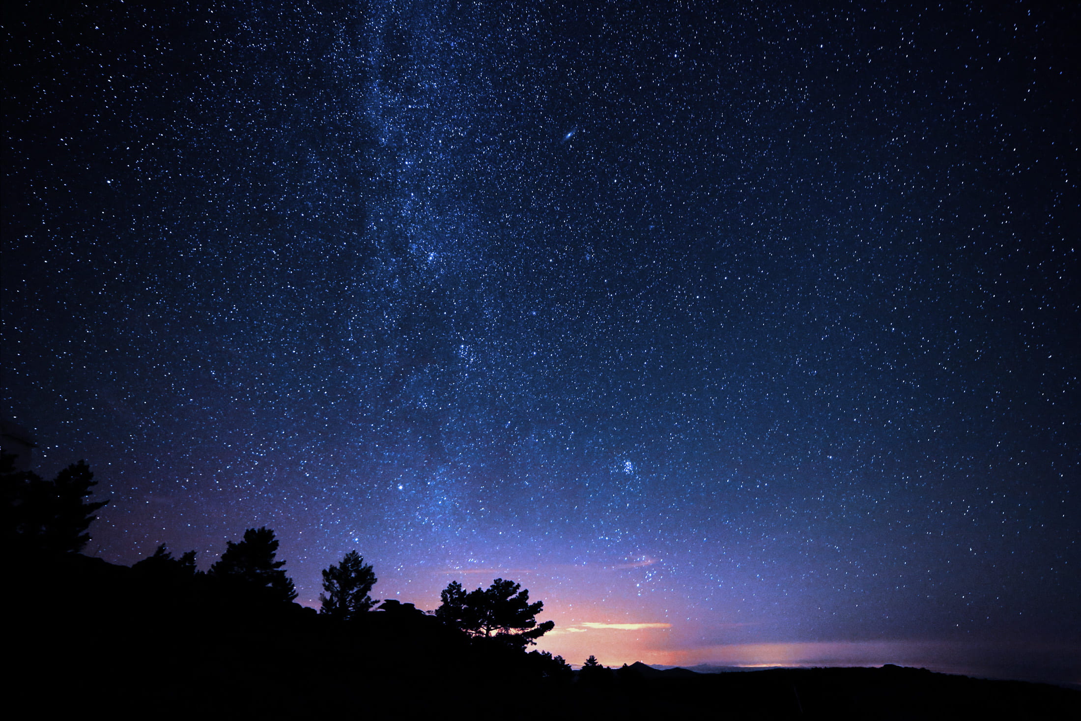 astronomy, scenics - nature, plant, tranquil scene, galaxy, dark, constellation, tranquility, landscape, space and astronomy, stars, low angle view, night sky, HD Wallpaper