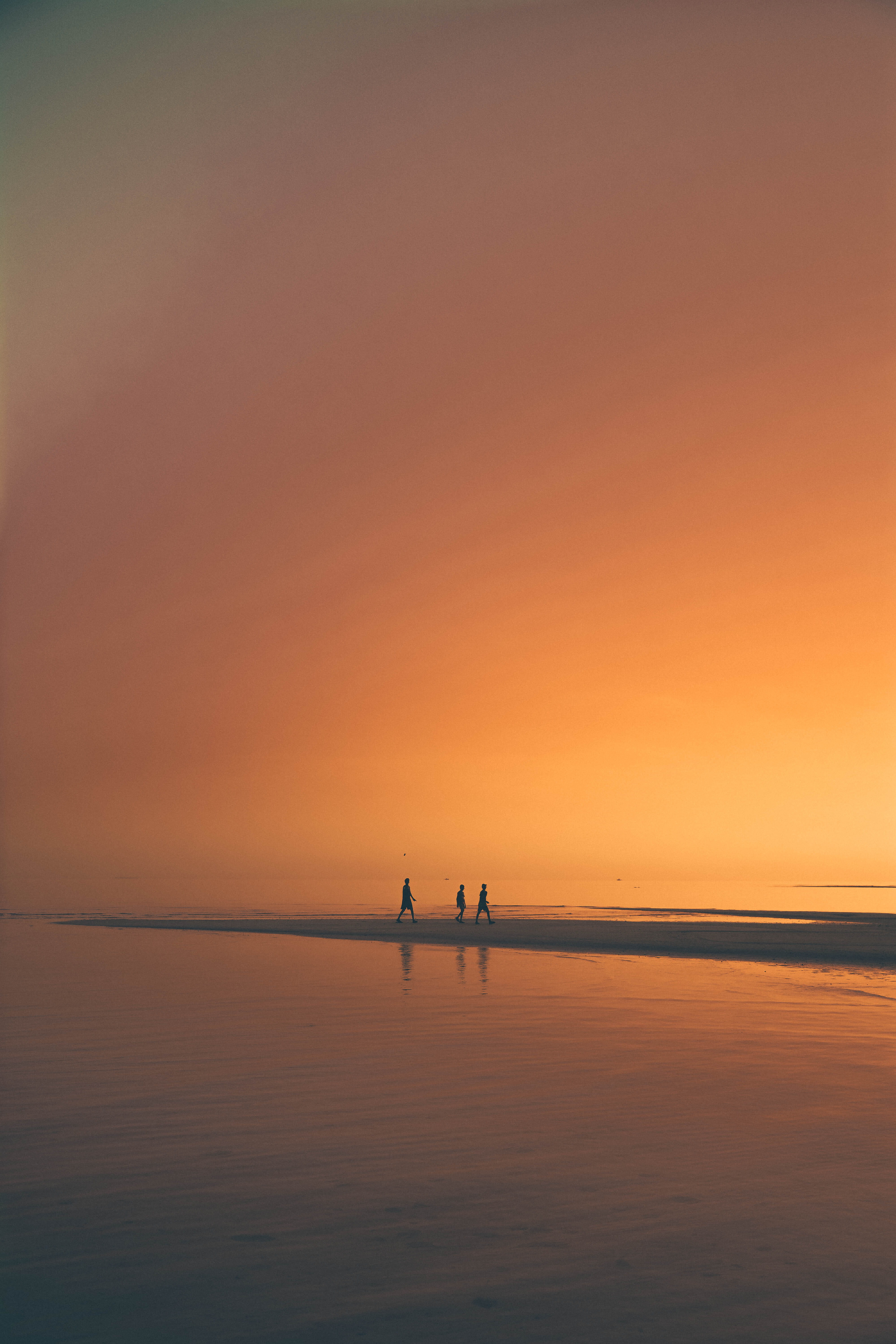moldife, orange, orange color, copy space, person, silhoutte, orange sky, beauty in nature, 5K, beach sand, unrecognizable person, dusk, outdoors, sea side, Phone HD Wallpaper