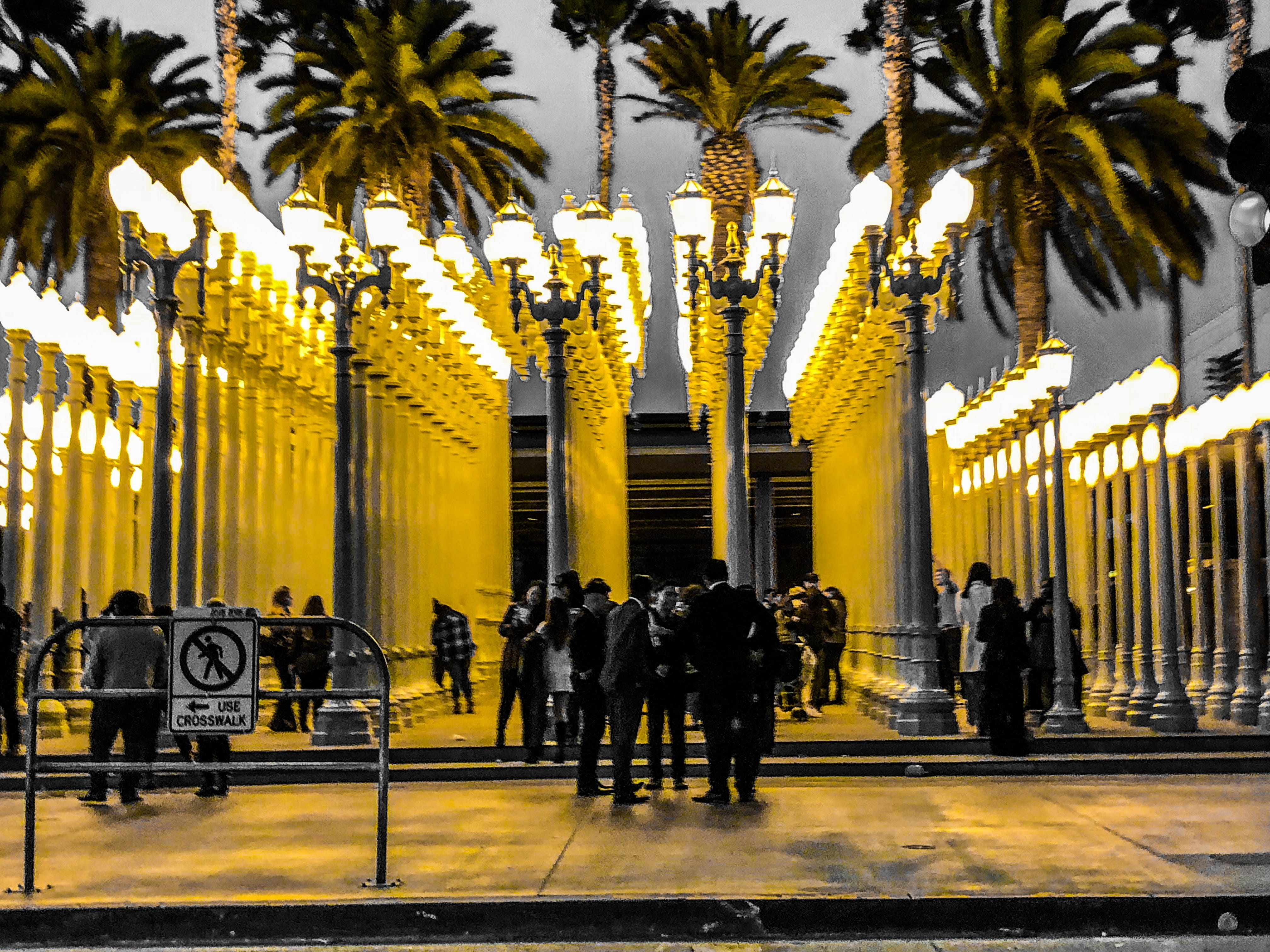 building, palm tree, built structure, architecture, men, urban light, lacma, real people, lamps, 4K, walking, lights, outdoors, government, group of people, HD Wallpaper