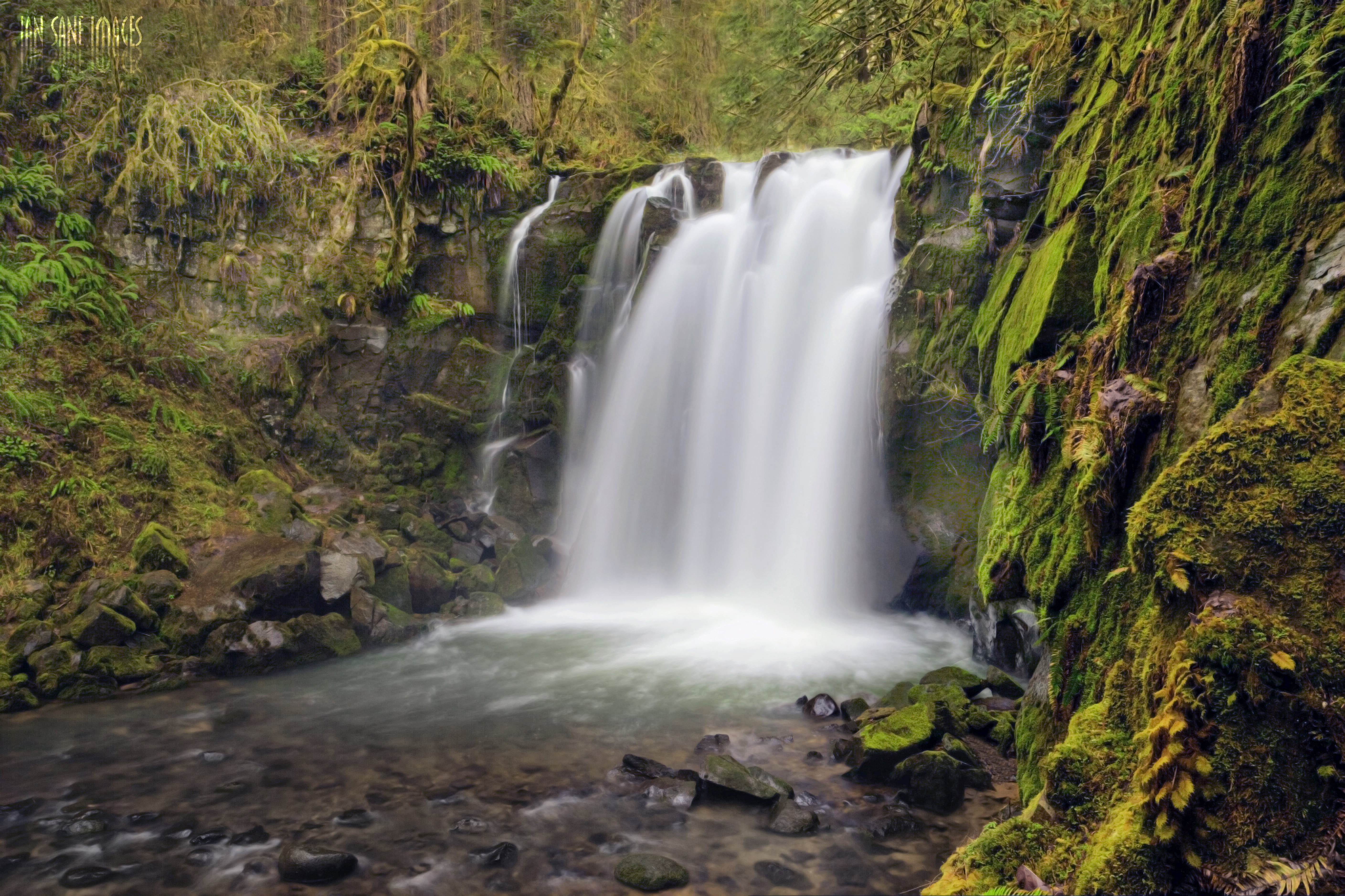 freshness, forest, stream, Creek, outdoors, beauty In Nature, 4L, Images, Majestic, waterfalls, Long  Exposure, landscape, County Park, 40mm, green, 5K, HD Wallpaper