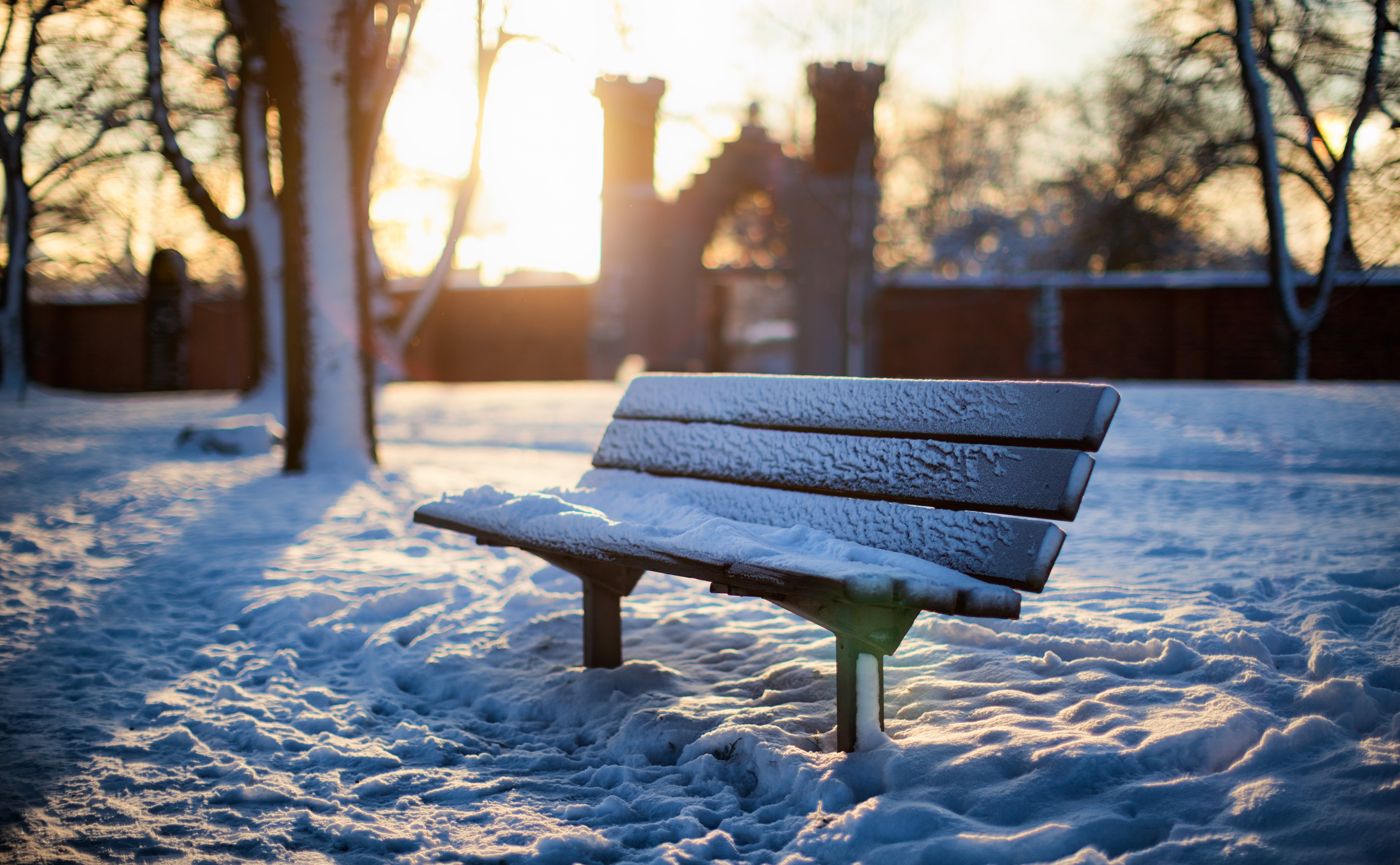 nature, outdoors, Canon EF, USM, Canon EOS 5D Mark II, park - Man Made Space, wooden, 5K, bench, Stockholms län, Snö, season, Vinter, cold - Temperature, HD Wallpaper