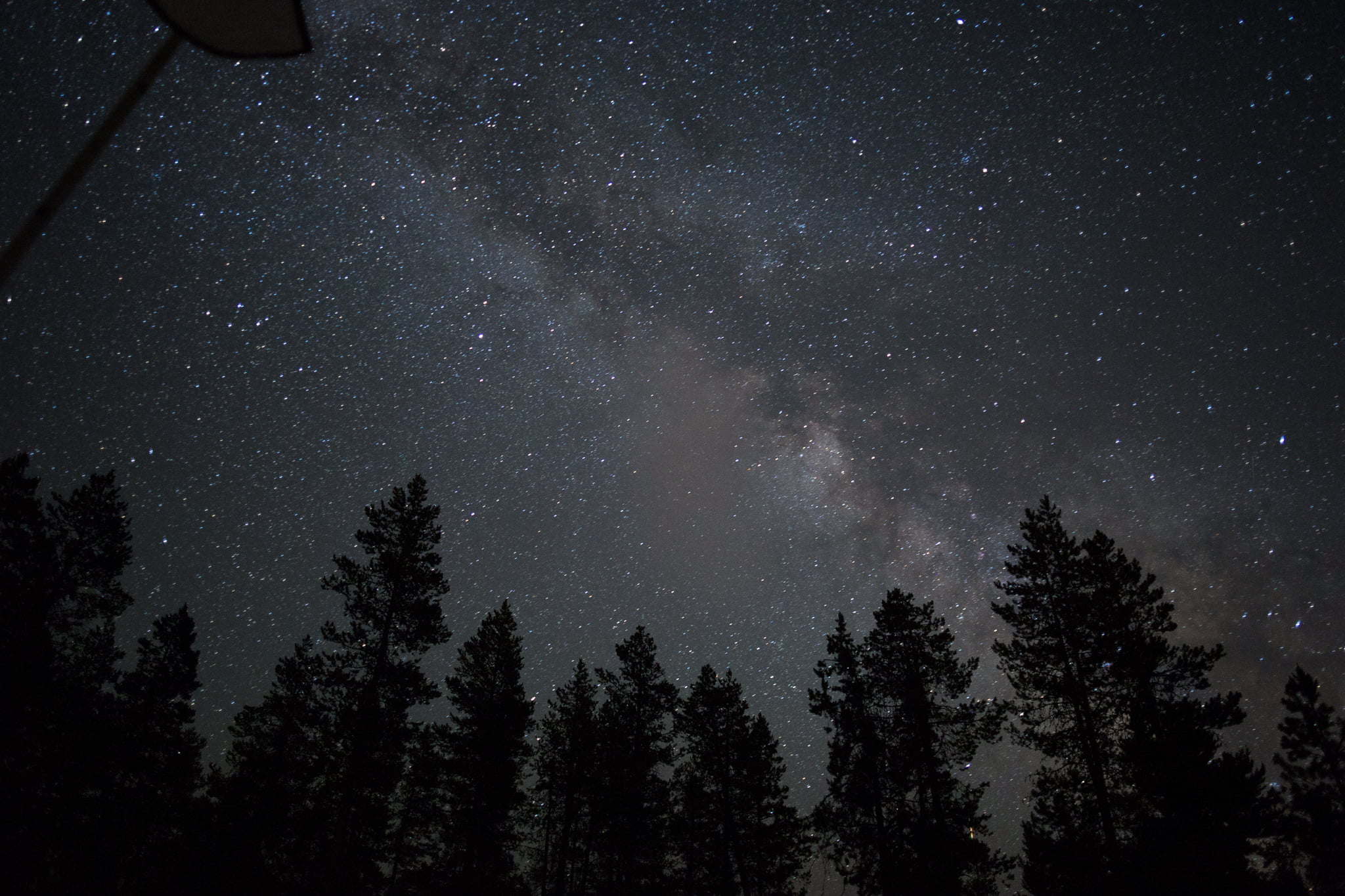 star, Tree, Stars, Milky Way, nature, photography, Long Exposure, constellation, dark, brown pine, Central Oregon, f/2.8, Canon EOS 6D, trees, Oregon, plenty, HD Wallpaper