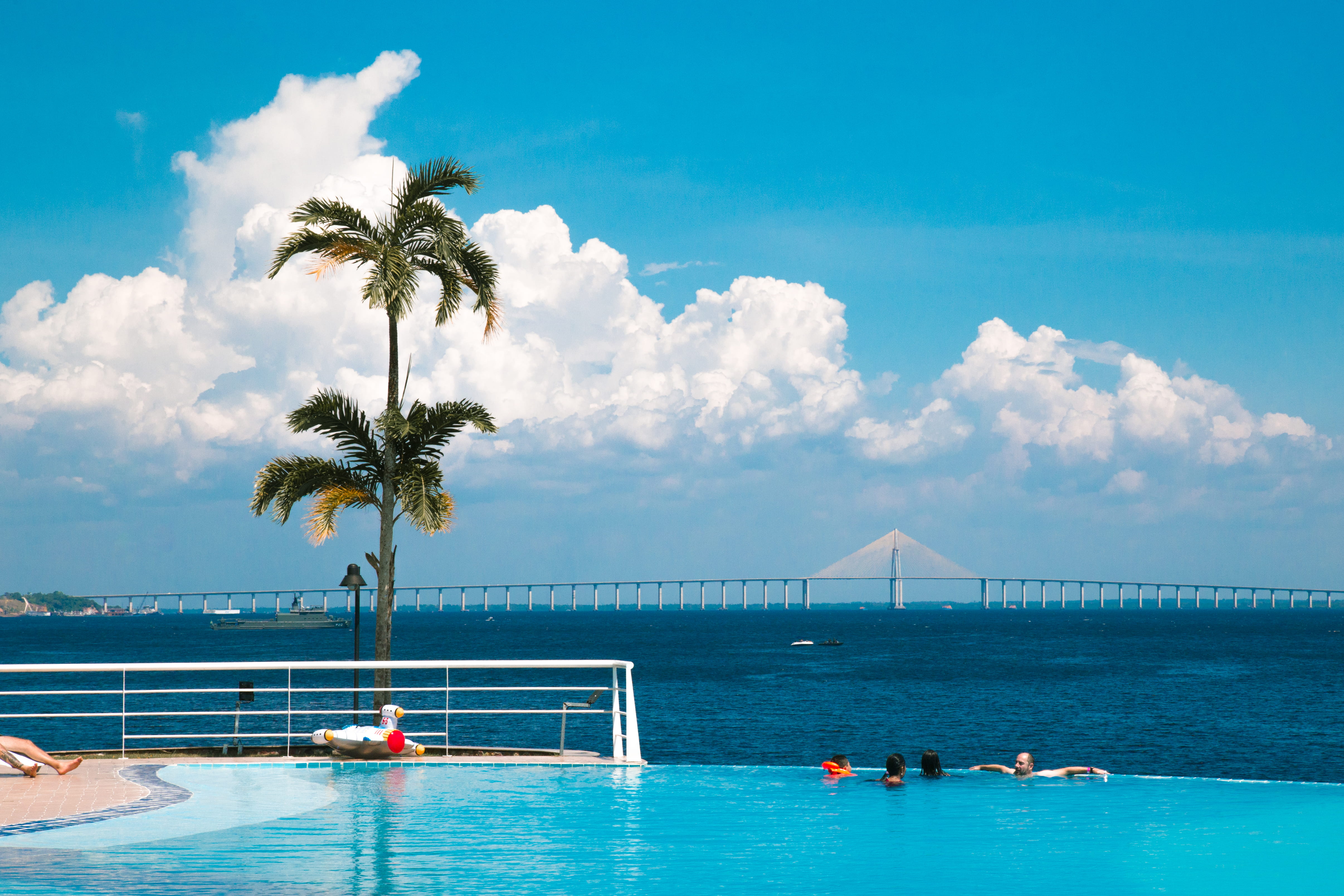 bridge, brazil, water, holiday, day, outdoors, infinity pool, trip, scenics - nature, pool, nature, palm tree, tree, amazonas, blackriver, river, ponterionegro, HD Wallpaper