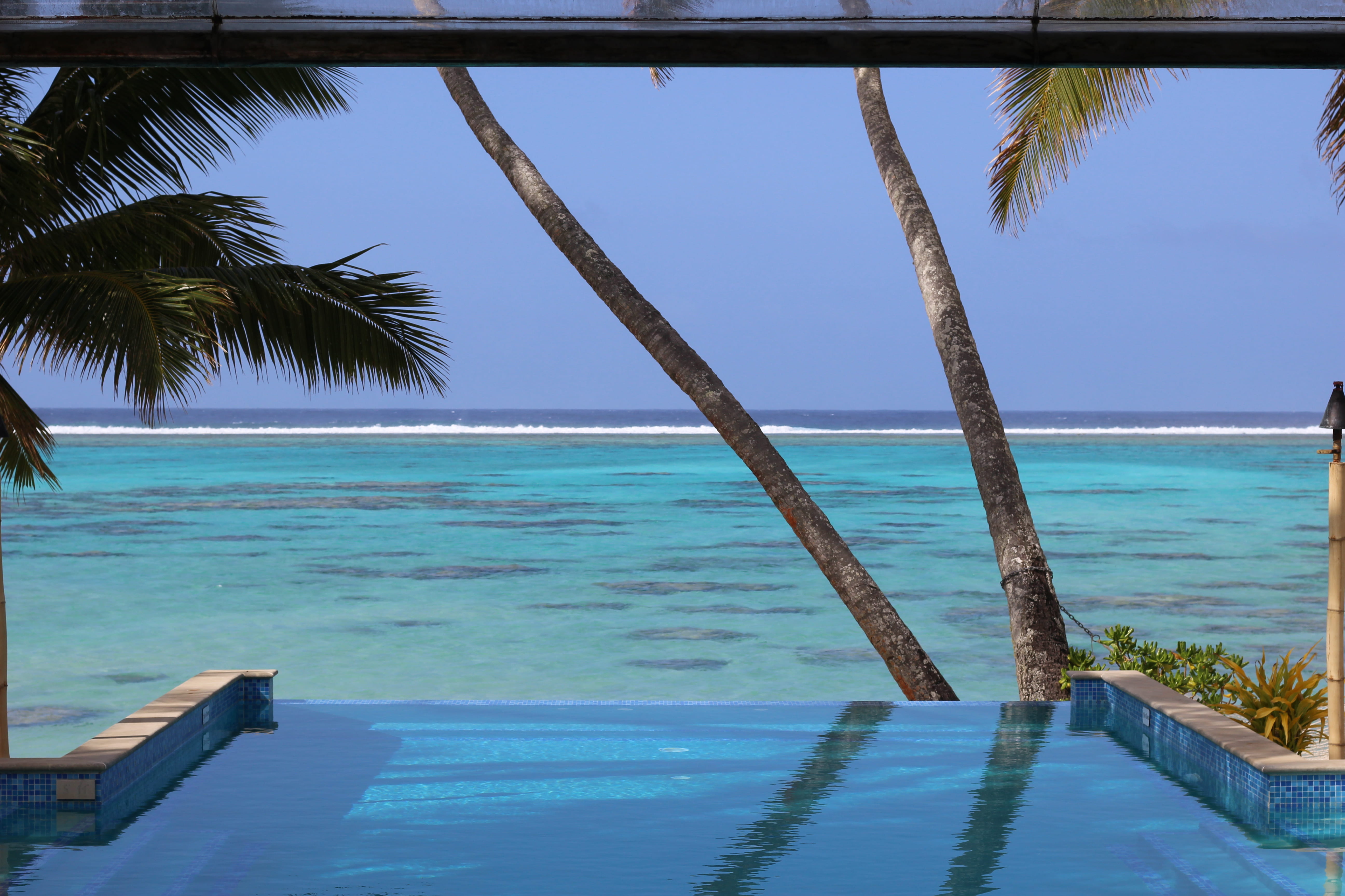 coconut palm tree, tranquility, water, tree, pool, land, tropical climate, pacific, palm leaf, blue, nature, island, outdoors, beach, sky, resort, beauty in nature, HD Wallpaper