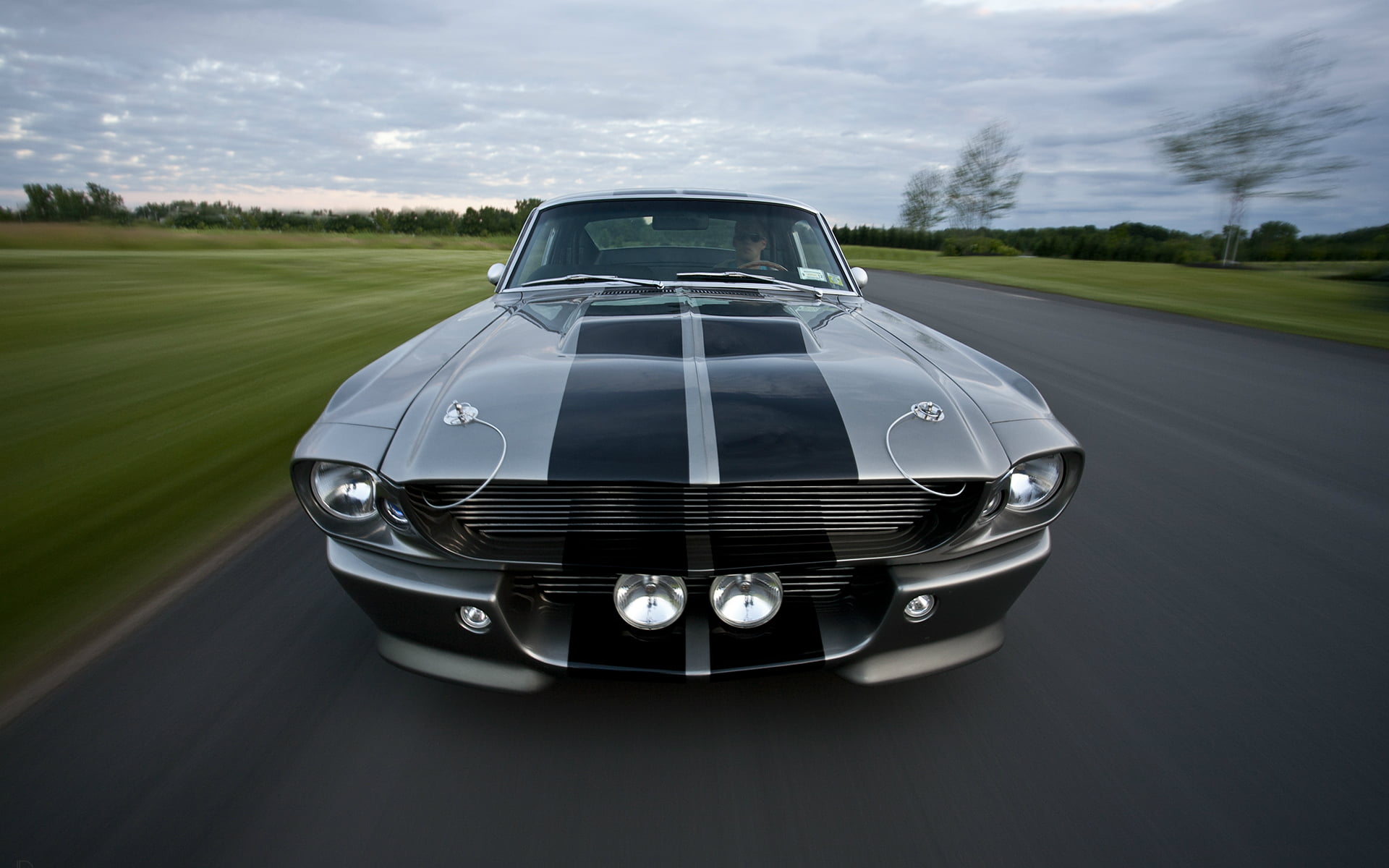 GT500, sports Car, silver colored, power, sky, motor Vehicle, black Color, speed, elegance, chrome, new, mode of Transport, road trip, Eleanor, sports Race, HD Wallpaper
