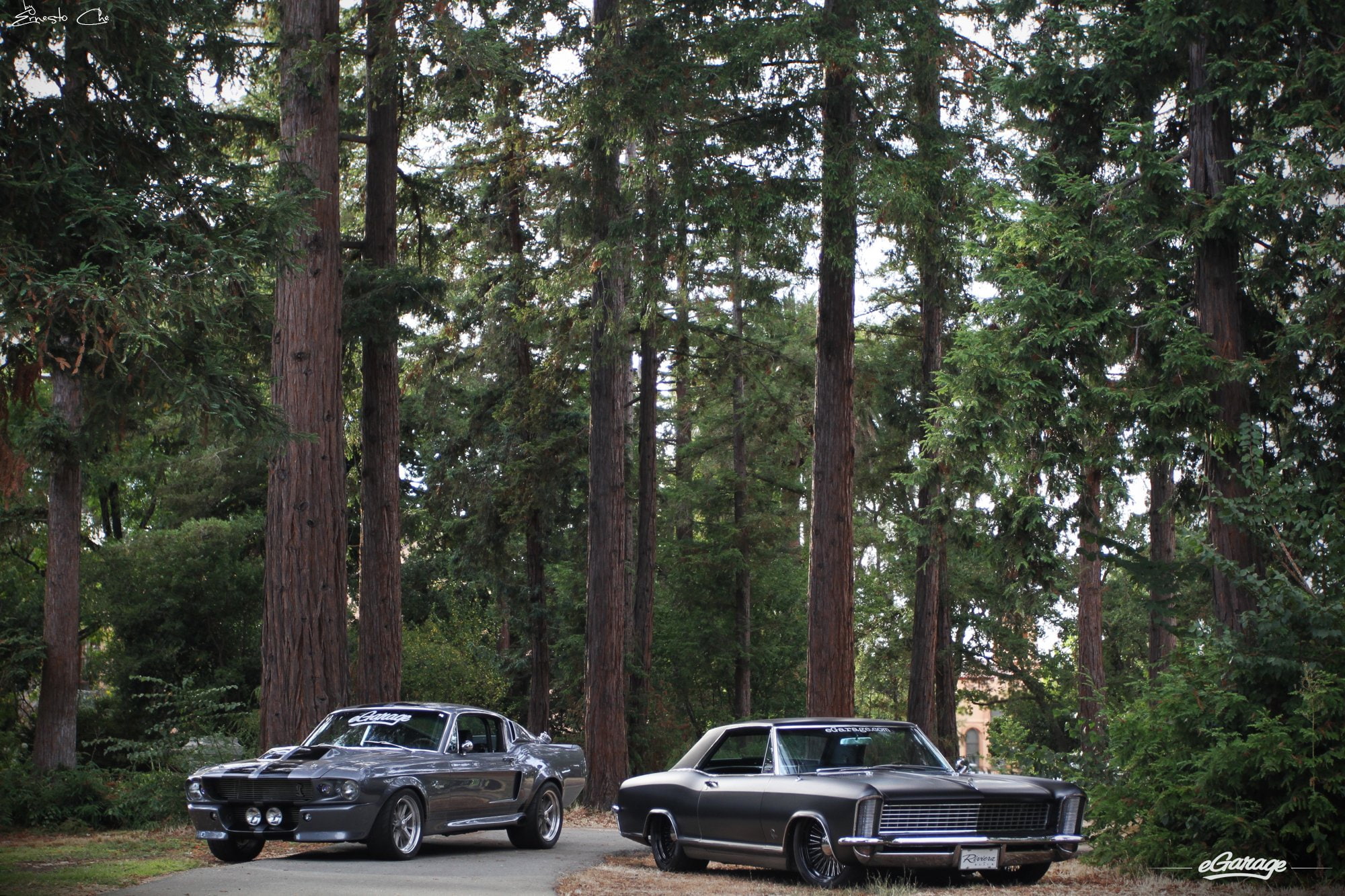 movies, mustang, rod, 1967, rods, 1080P, muscle, cobra, nicolas, hot, cage, shelby, gt500, ford, eleanor, classic, HD Wallpaper