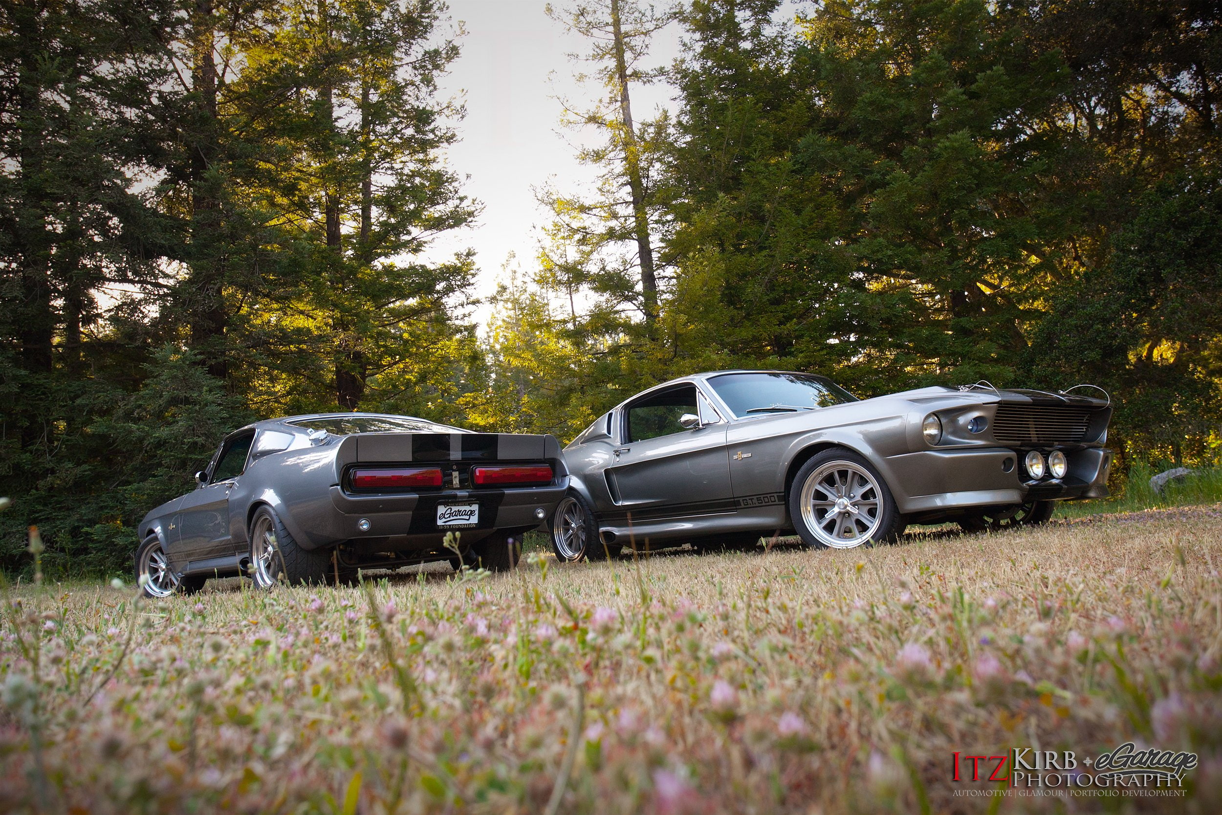 muscle, shelby, eleanor, classic, mustang, cage, rod, 1080P, ford, 1967, cobra, nicolas, hot, rods, movies, gt500, HD Wallpaper