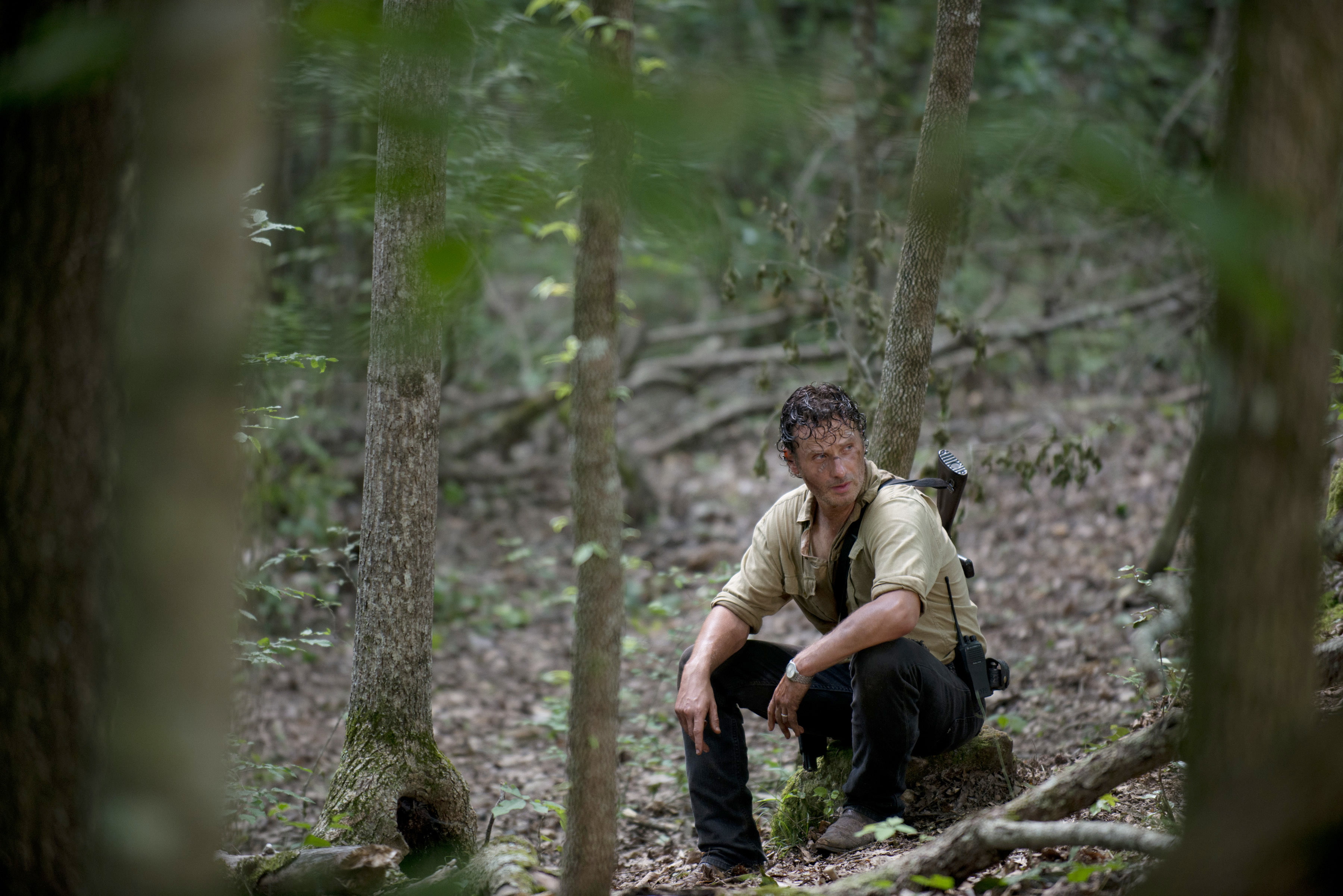 Rick Grimes, 2K, forest, trees, Andrew Lincoln, The Walking Dead, HD Wallpaper