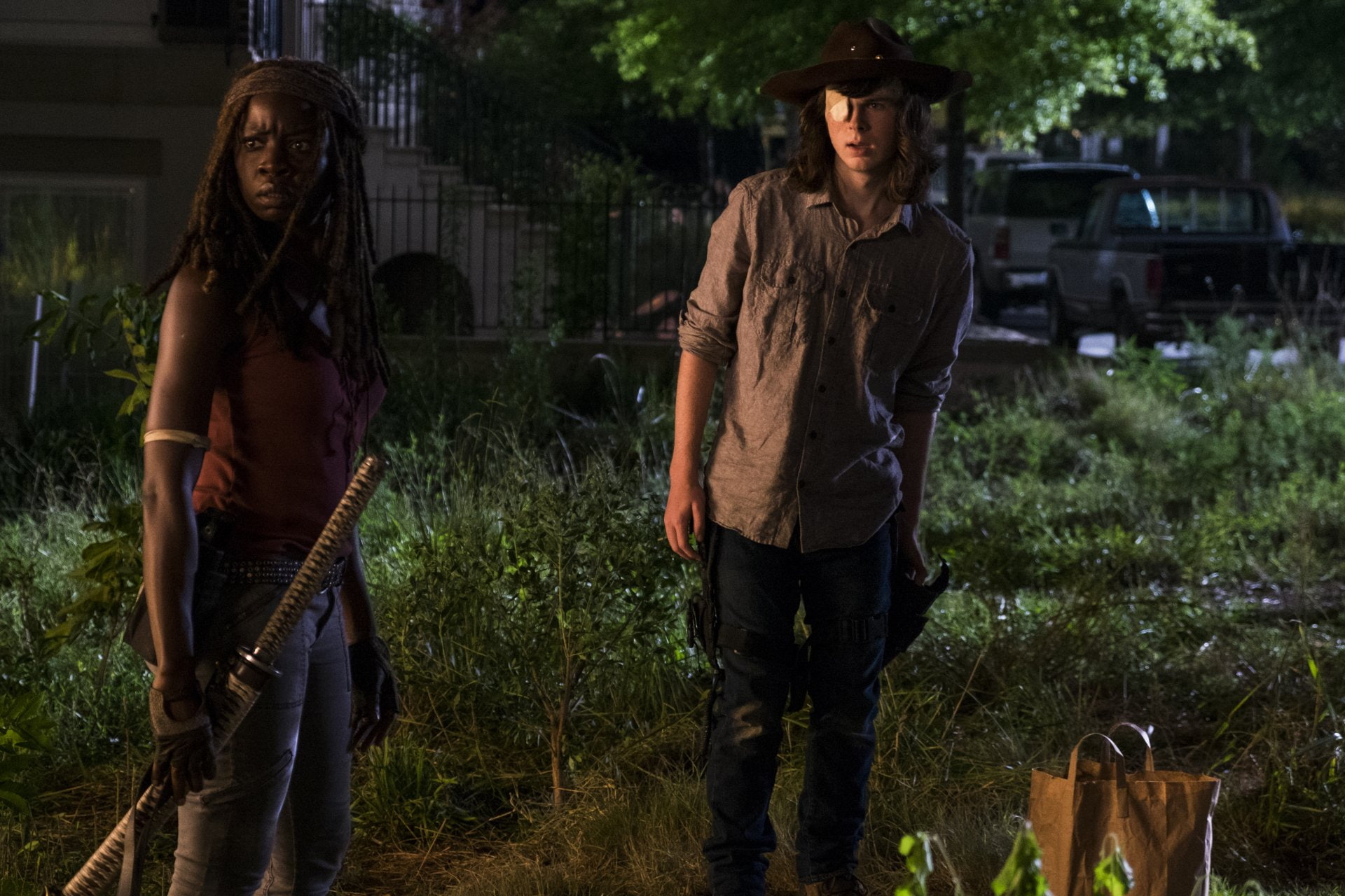 TV Show, Danai Gurira, Carl Grimes, The Walking Dead, Michonne (The Walking Dead), Chandler Riggs, 1080P, HD Wallpaper