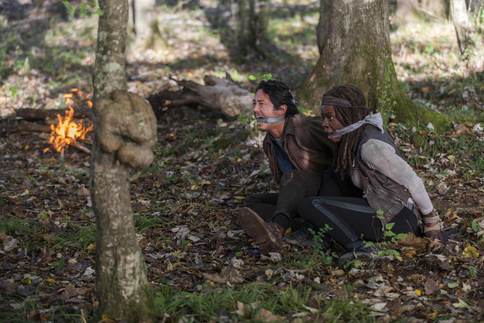 Steven Yeun, Michonne (The Walking Dead), The Walking Dead, Glenn Rhee, Danai Gurira, TV Show, 1080P, HD Wallpaper