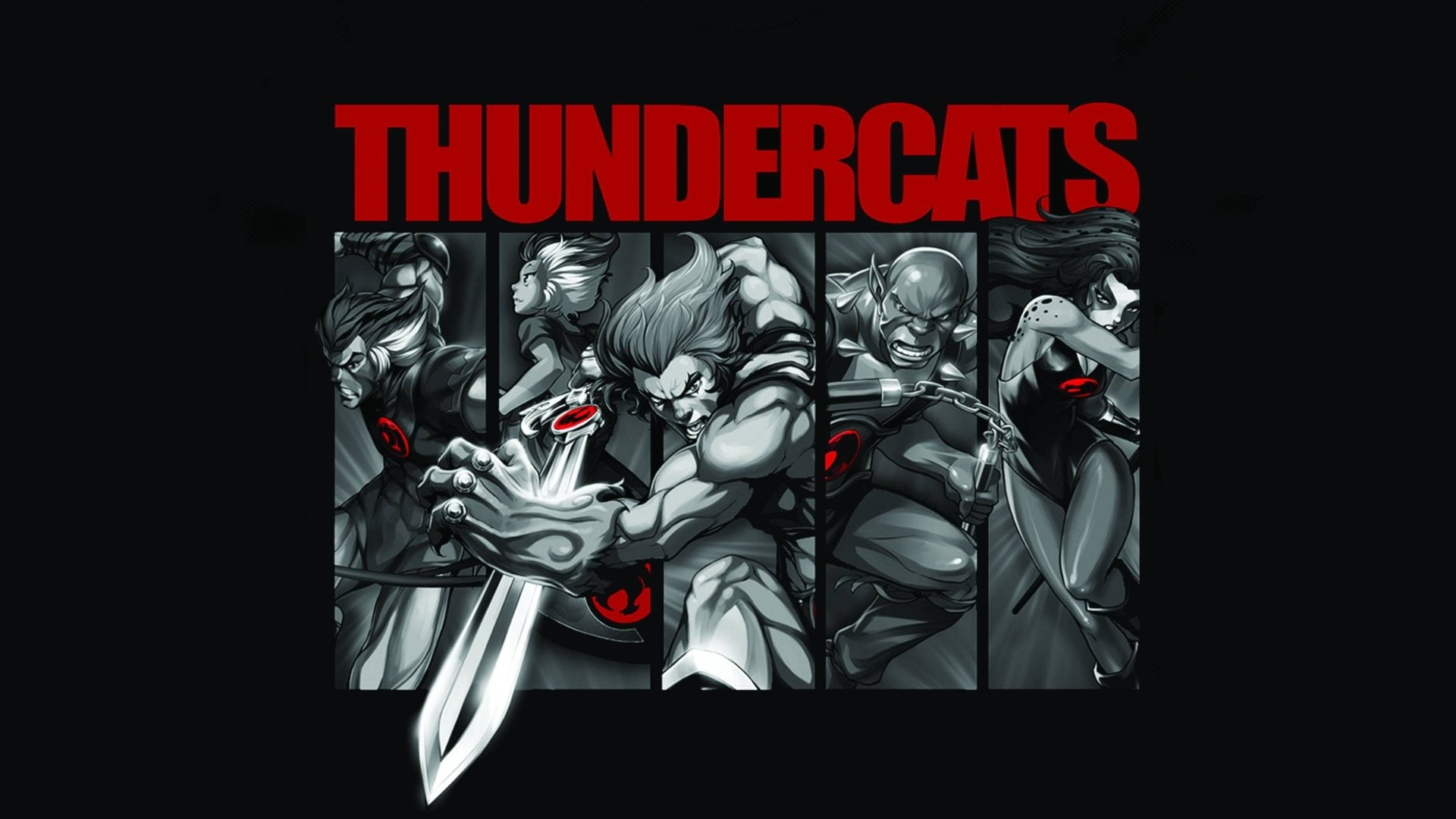 TV Show, 1080P, Lion-O, Cheetara, Thundercats, HD Wallpaper