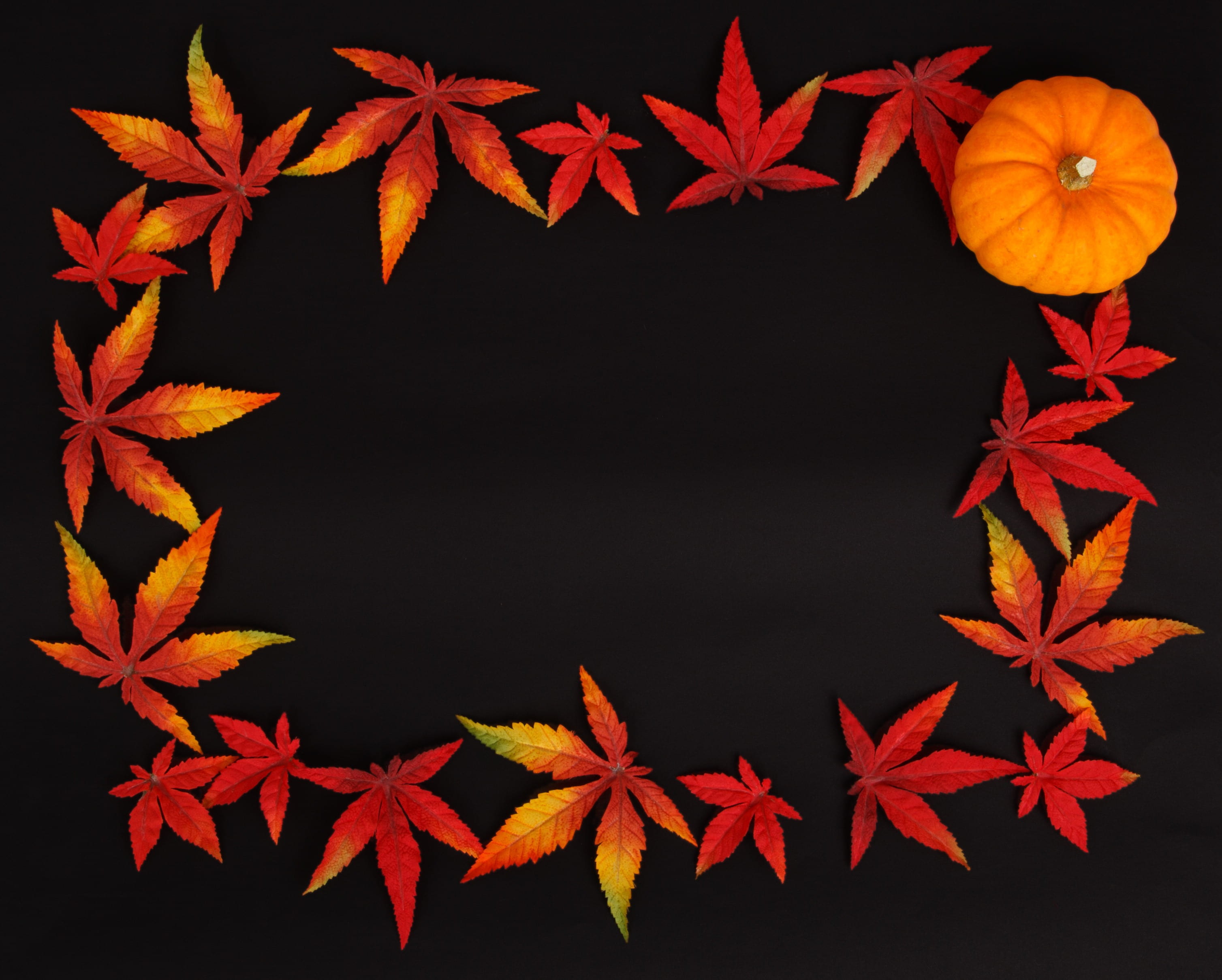 lot, black, abstract, digital composite, celebration, holiday, no people, creativity, change, black background, leaf, leaves, plant part, backgrounds, HD Wallpaper