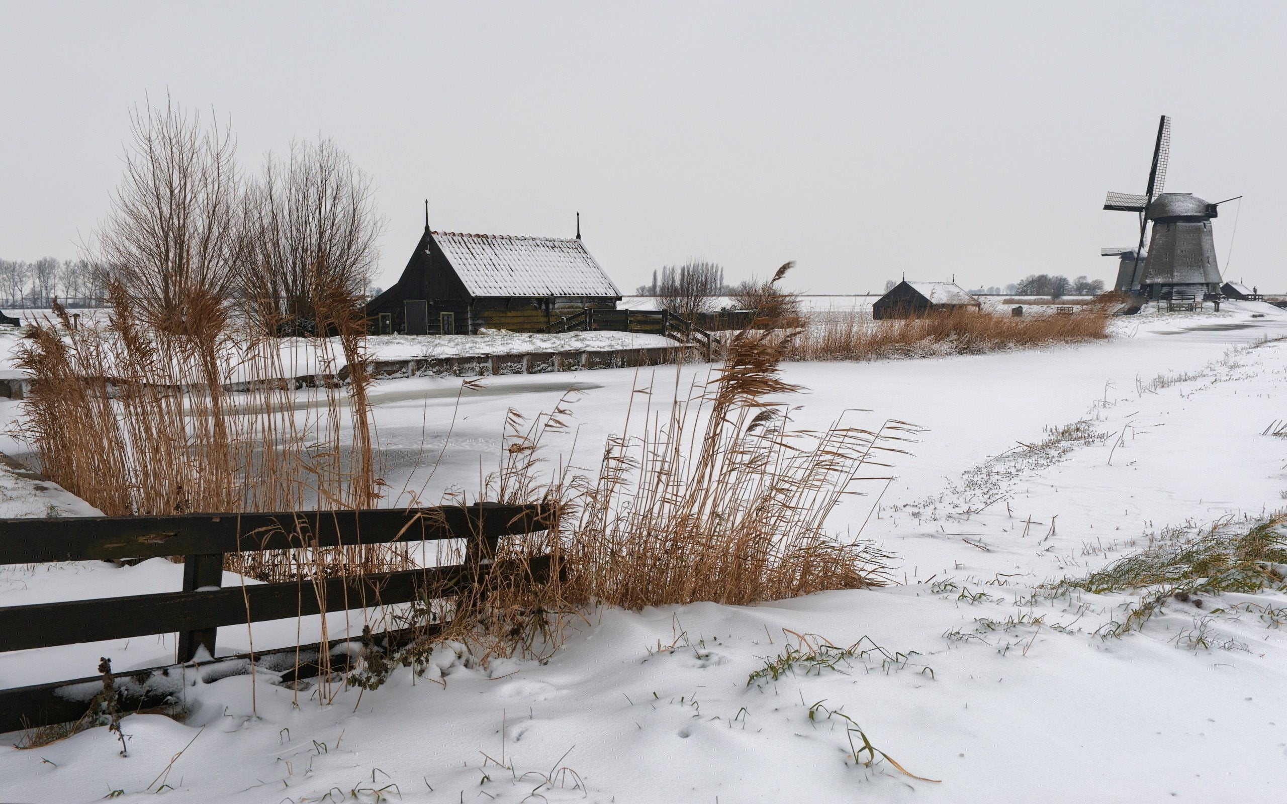 building exterior, tree, windmill, plant, winter, water, cold temperature, architecture, landscape, outdoors, built structure, leafed, building, Russia, HD Wallpaper