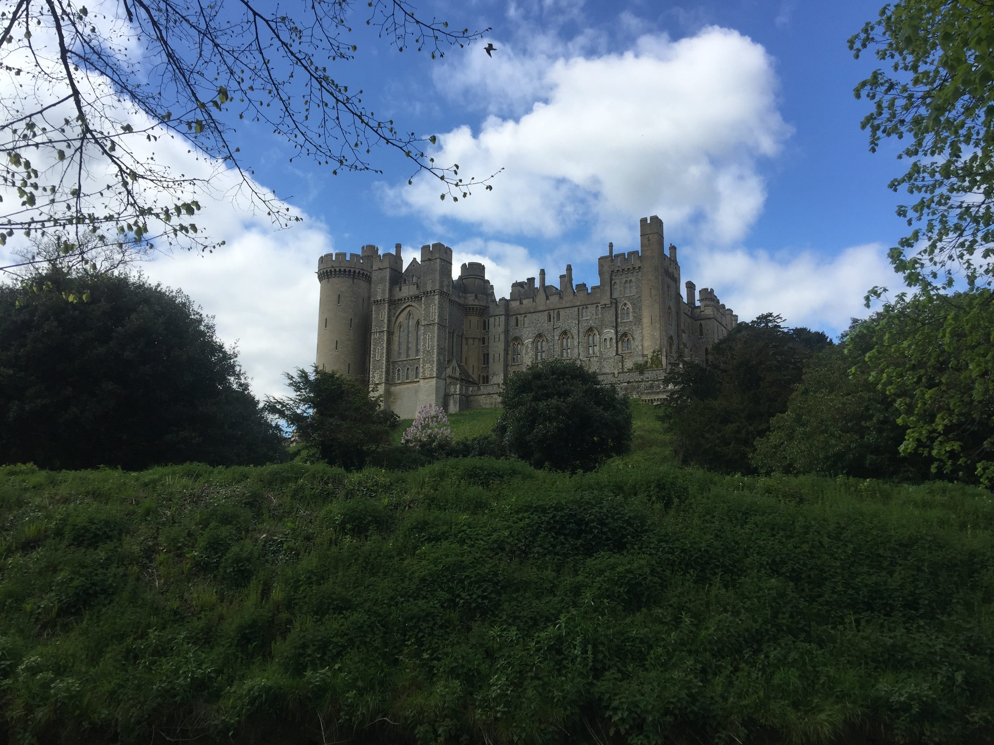 travel destinations, sky, the past, west sussex, summer, green color, england, building, 2K, castle, arundel castle, cloud - sky, plant, tree, land, growth, HD Wallpaper