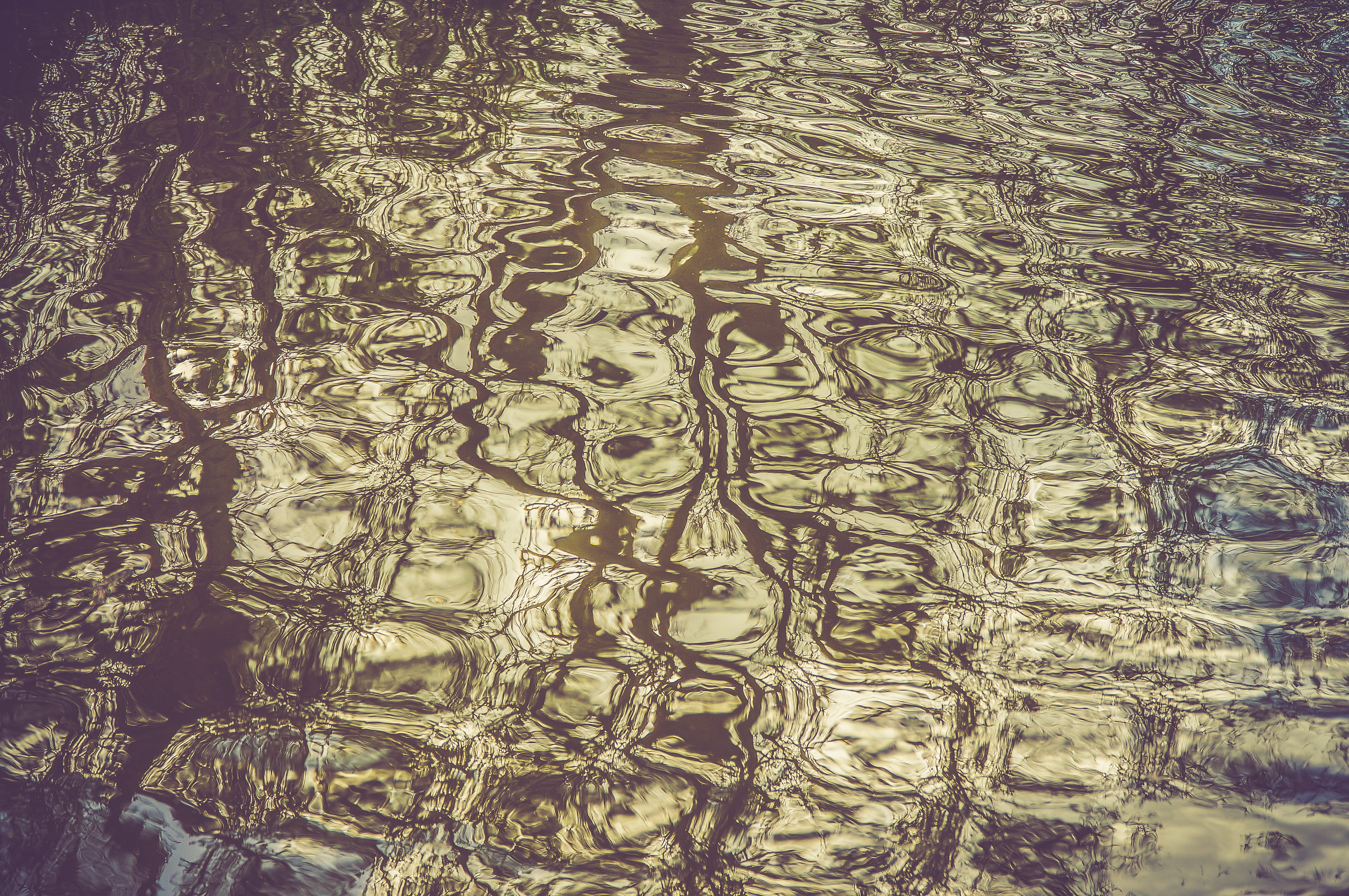 nature, reflection, close-up, united kingdom, transparent, pattern, design, purity, glass, arundel, high angle view, tree, 4K, day, water, indoors, rippled, HD Wallpaper