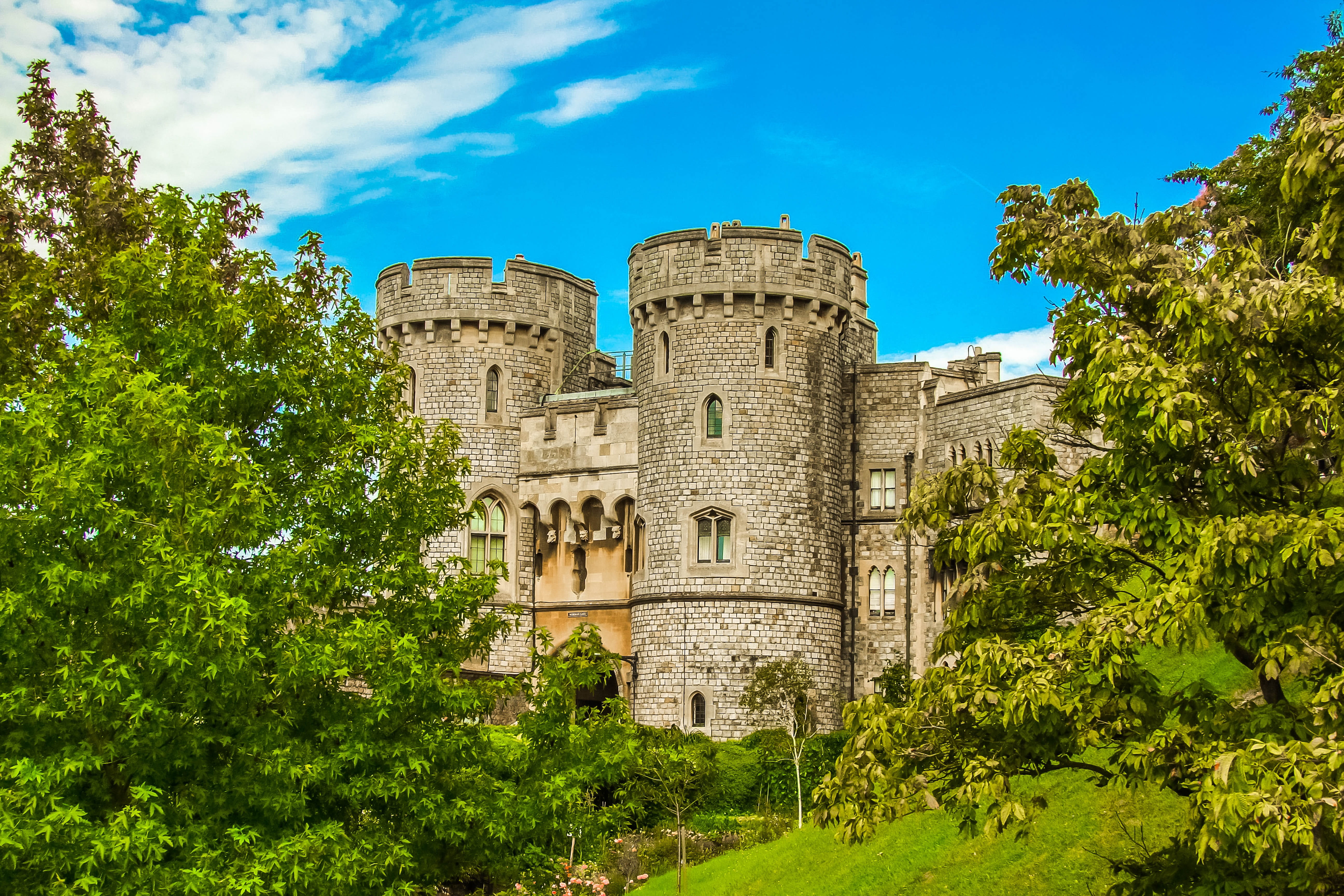 low angle view, old, green color, 5K, travel, ruined, built structure, blue, building exterior, arundel castle, ancient, tree, building, the past, sky, HD Wallpaper