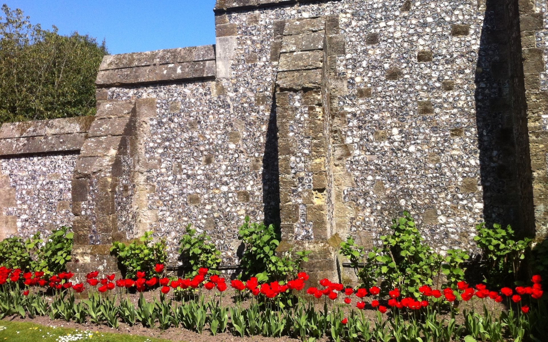 Castles, Arundel Castle, 1080P, HD Wallpaper