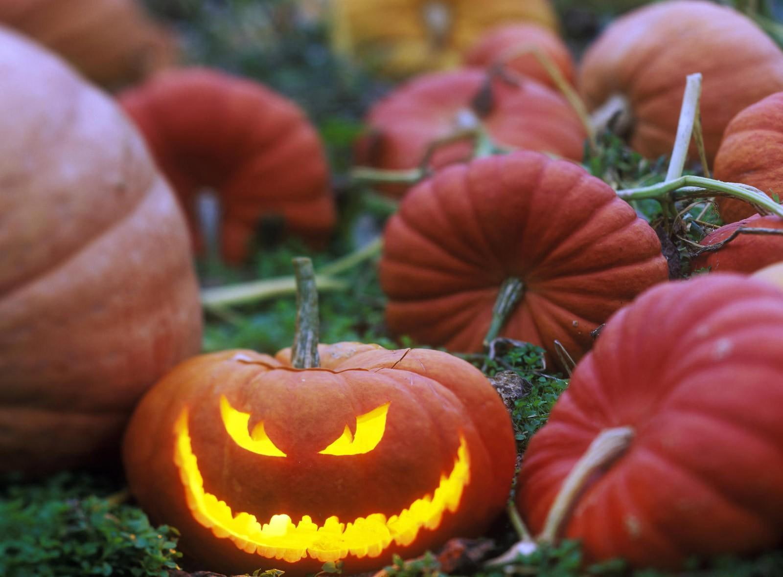 patch, holiday, halloween, 720P, face, pumpkin, HD Wallpaper