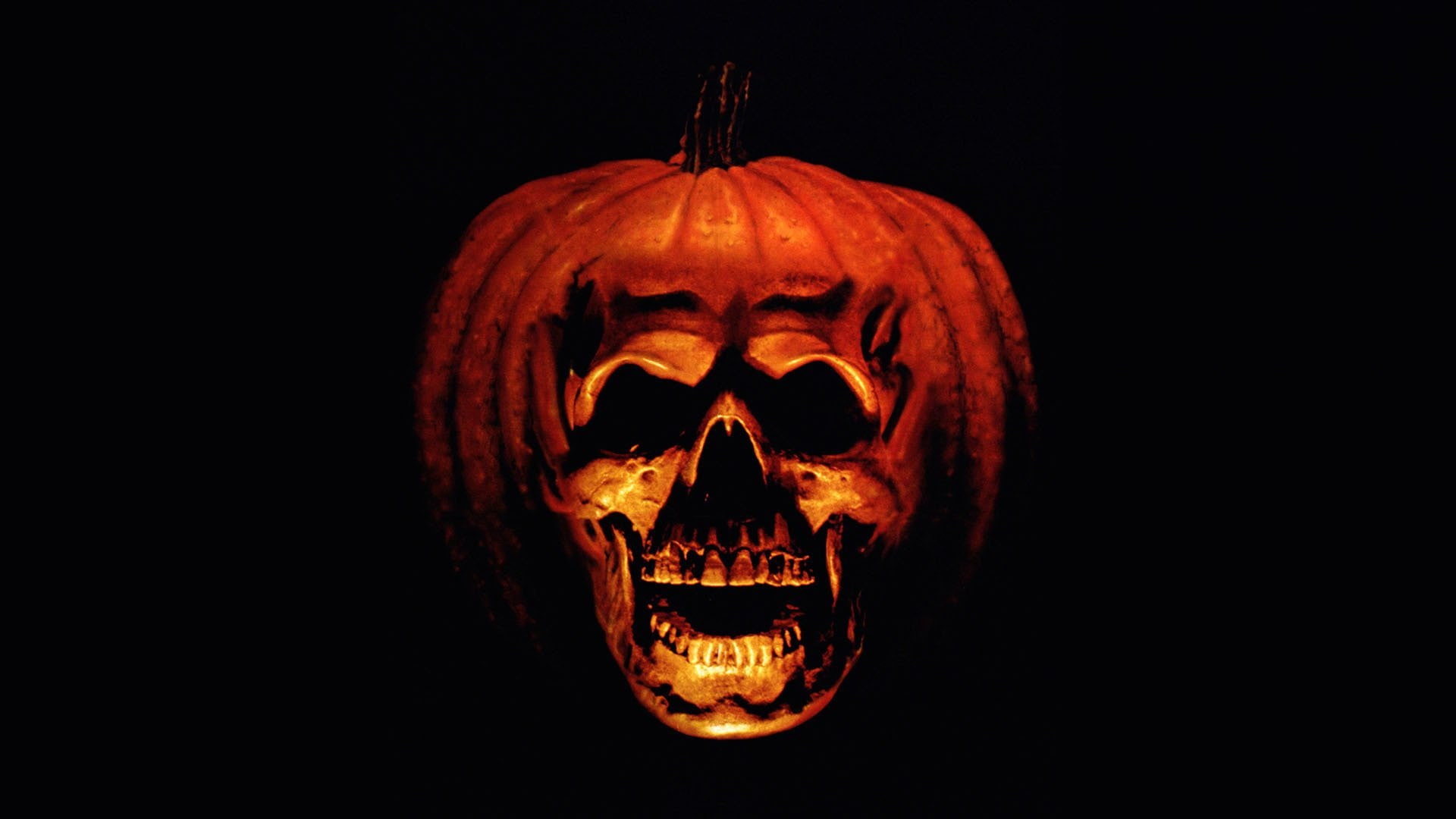 fear, halloween, food and drink, pumpkin, horror, holiday - event, halloween ii 1981, human bone, 1080P, celebration, human skeleton, evil, bone, black background, HD Wallpaper