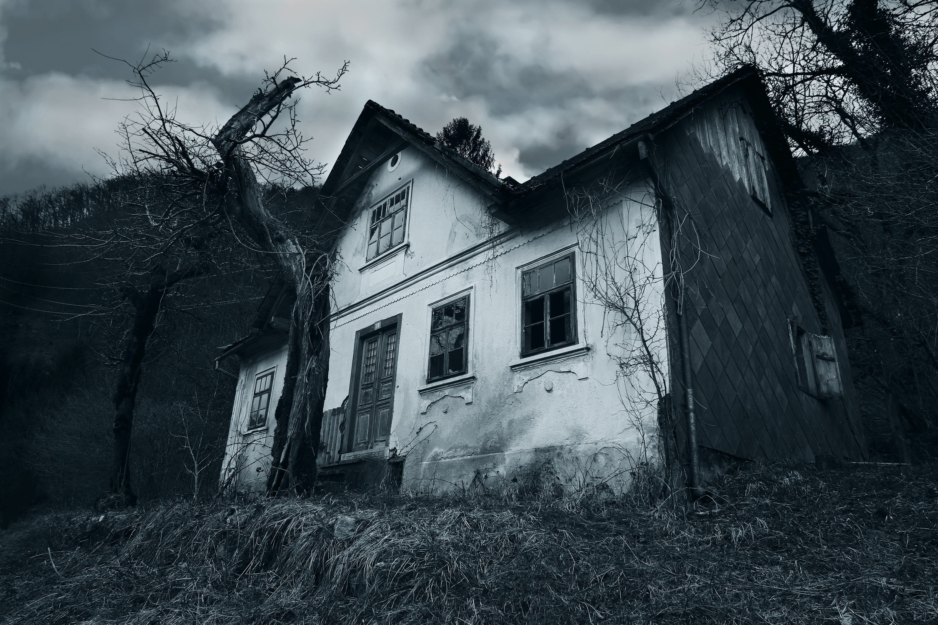 white, spooky, obsolete, demolished, day, abandoned, old, tree, no people, residential district, built structure, outdoors, cloud - sky, 2K, sky, building, HD Wallpaper