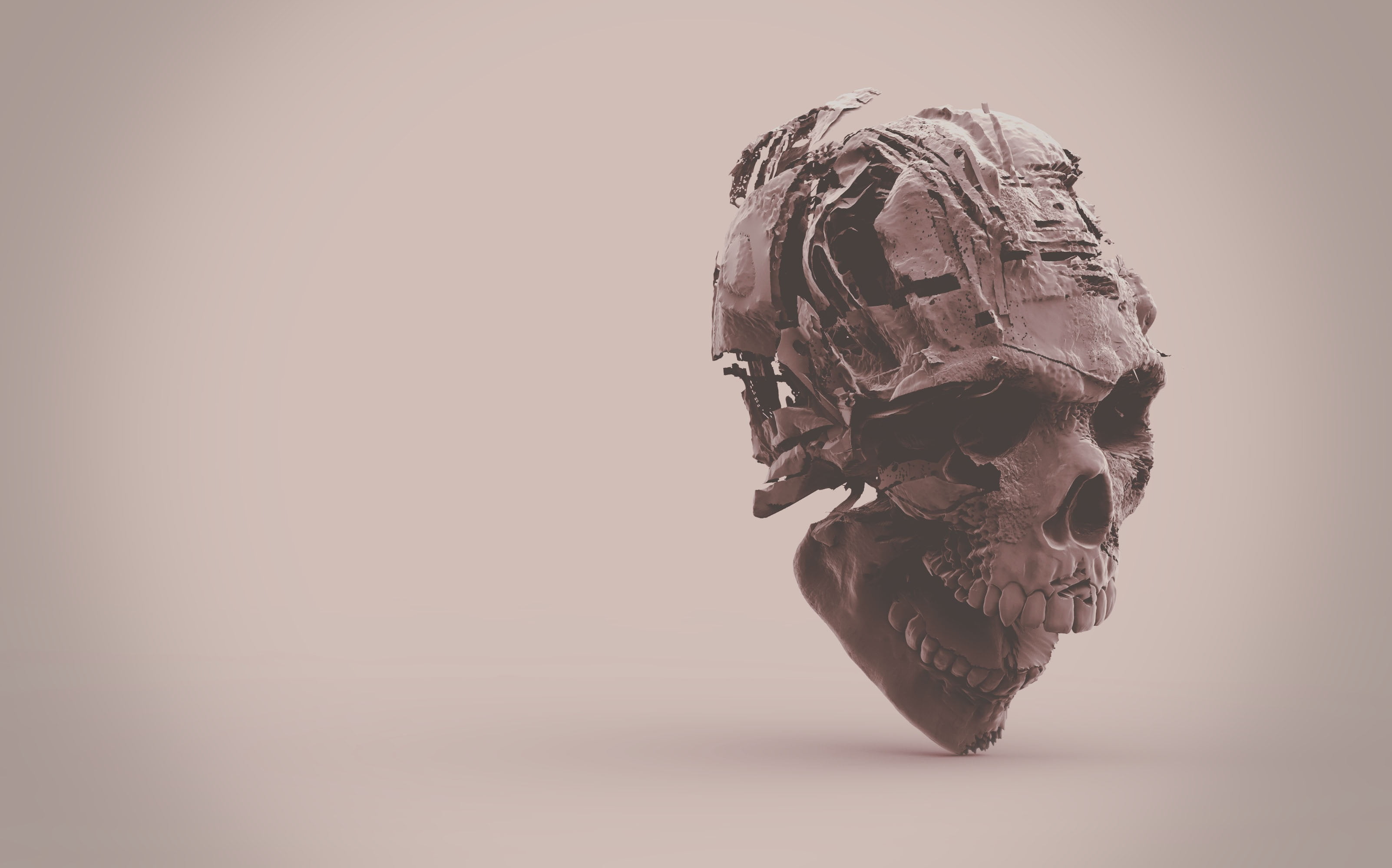 dead, bone, spooky, sculpture, history, illness, creativity, human Skeleton, death, human, illustration, healthcare And Medicine, the past, indoors, close-up, HD Wallpaper