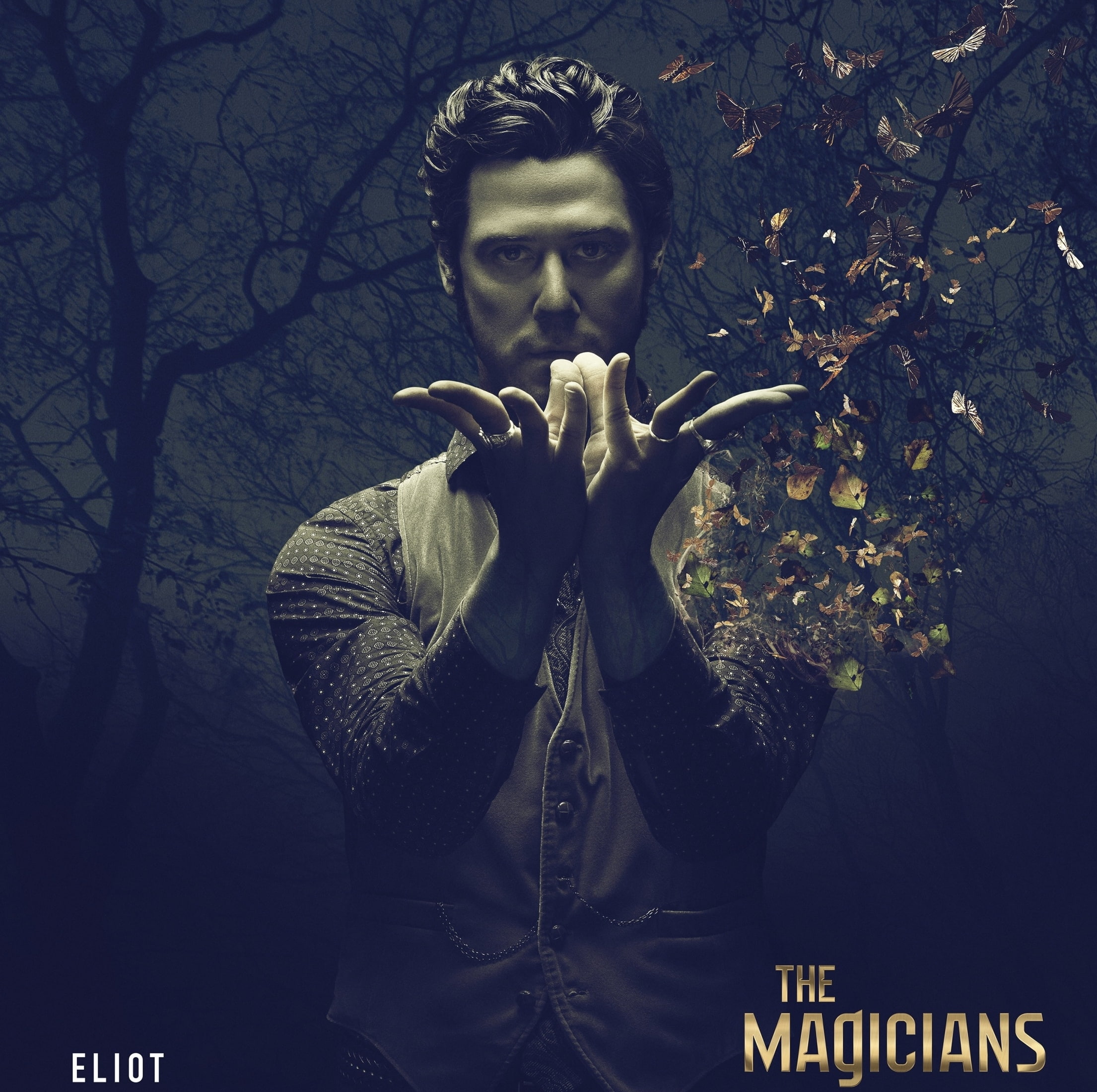 fantasy, butterfly, The Magicians ( 2015 - ), 1080P, actor, hand, Hale Appleman, tv series, golden, the magicians, man, eliot, HD Wallpaper