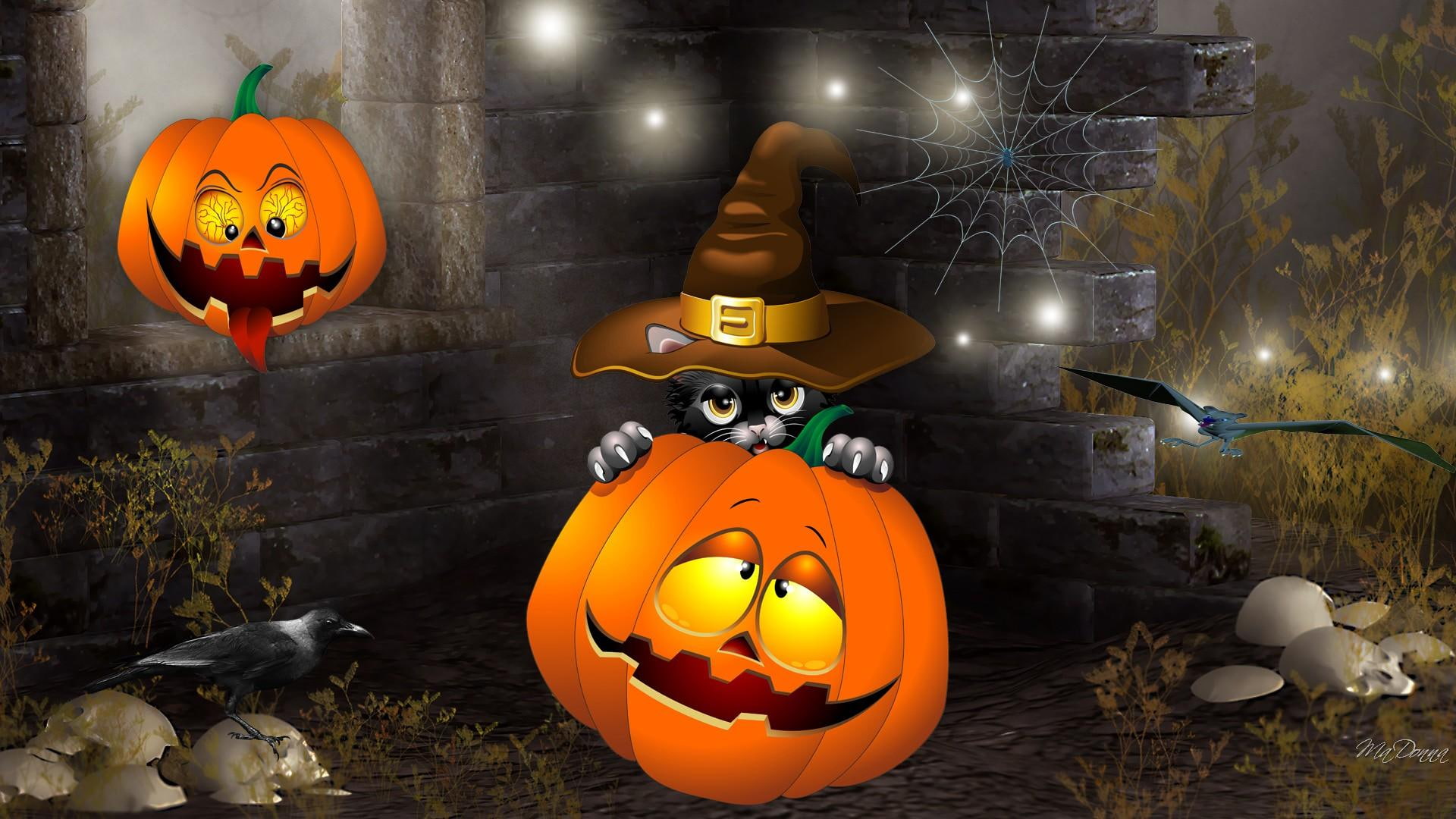 webs, themed, witch, raven, spooky, skulls, lights, holloween, jack--o--lantern, cat, black-cat, 1080P, gothic, halloween, goth, pumpkin, illustration, HD Wallpaper
